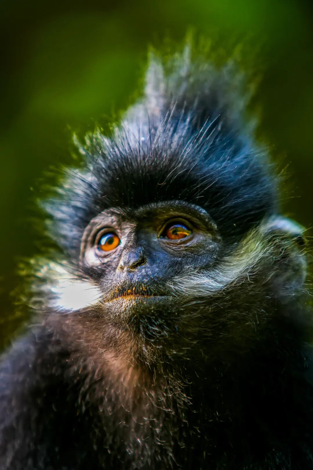 Image related to Why Is Guizhou China's Top Summer Retreat?