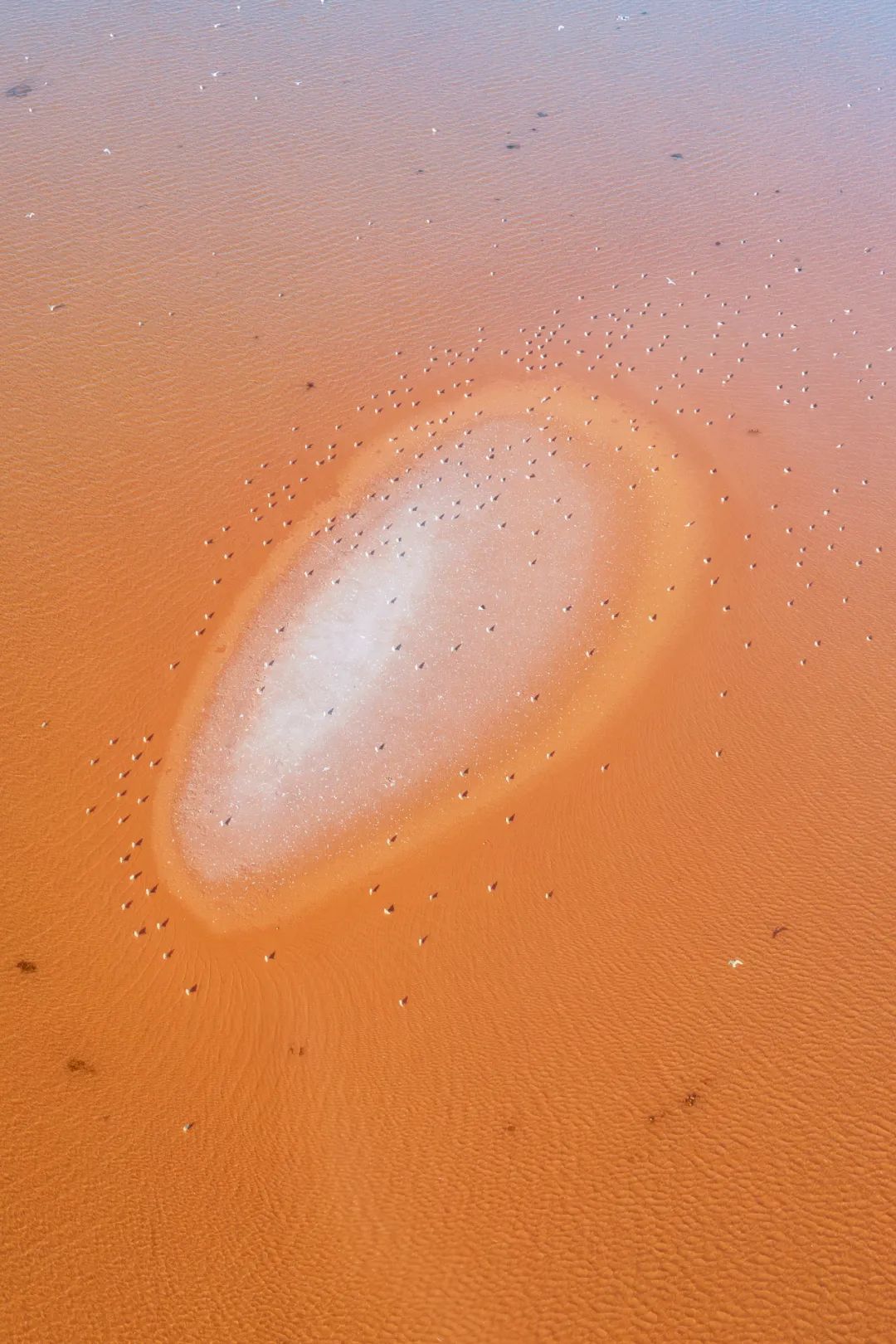 Image related to The Smallest City in Liaoning Supplies All Northeast China with Crabs!