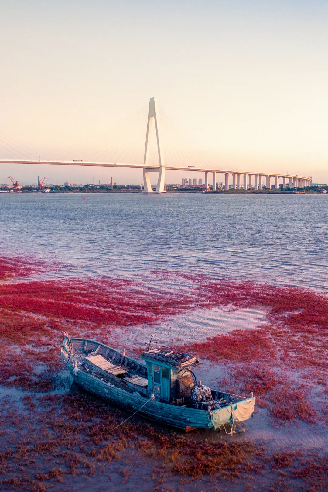 Image related to The Smallest City in Liaoning Supplies All Northeast China with Crabs!