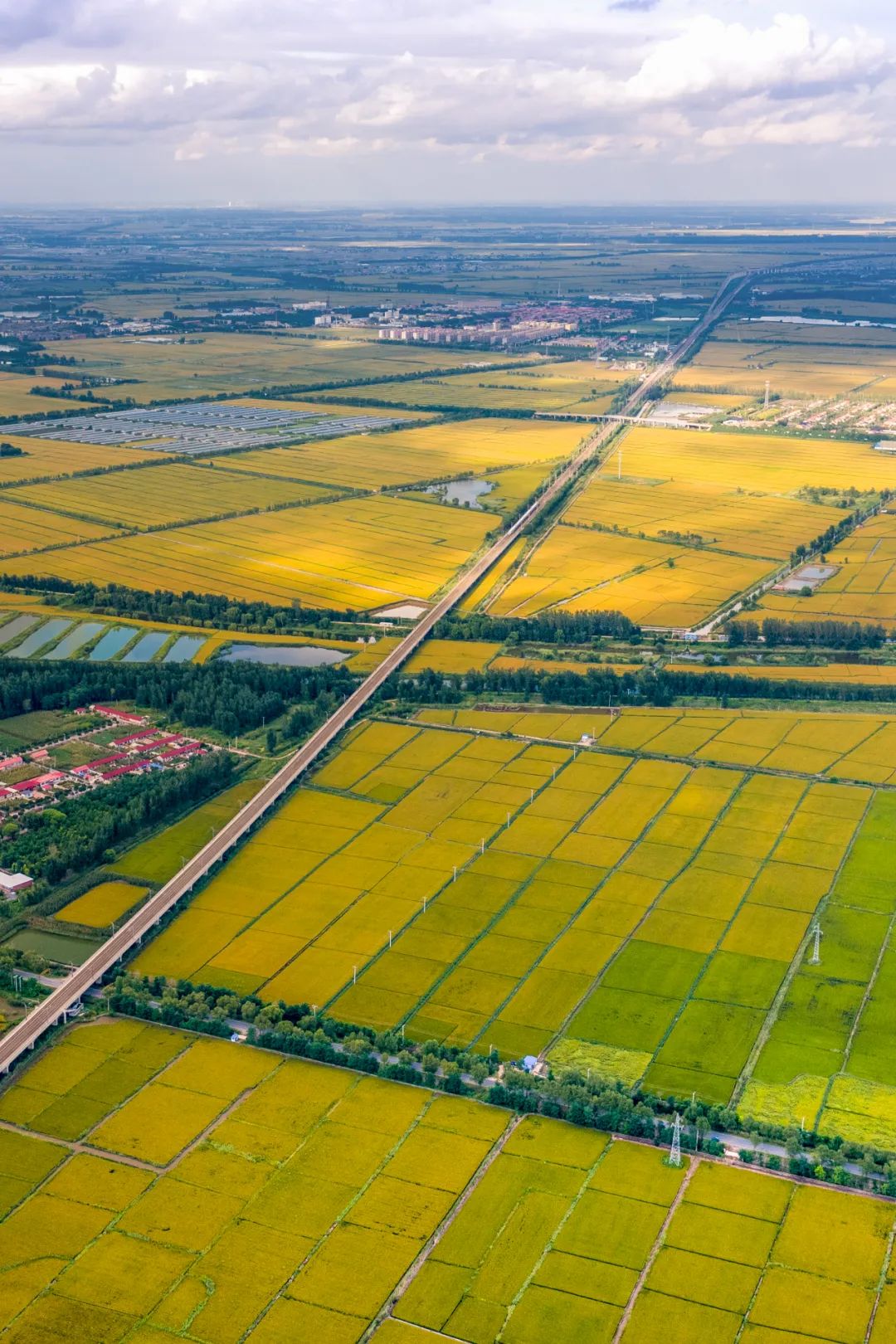 Image related to The Smallest City in Liaoning Supplies All Northeast China with Crabs!