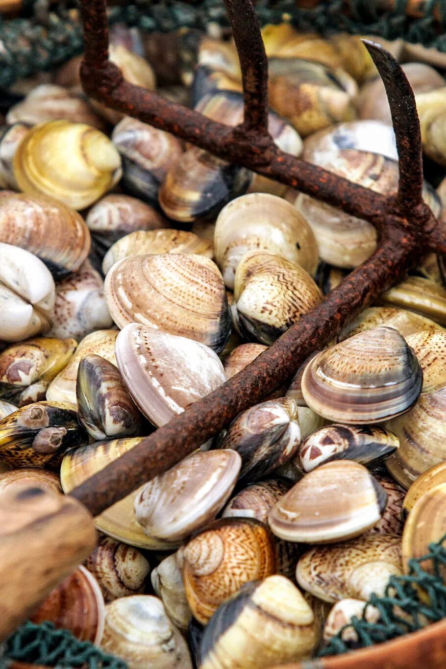 Image related to The Smallest City in Liaoning Supplies All Northeast China with Crabs!