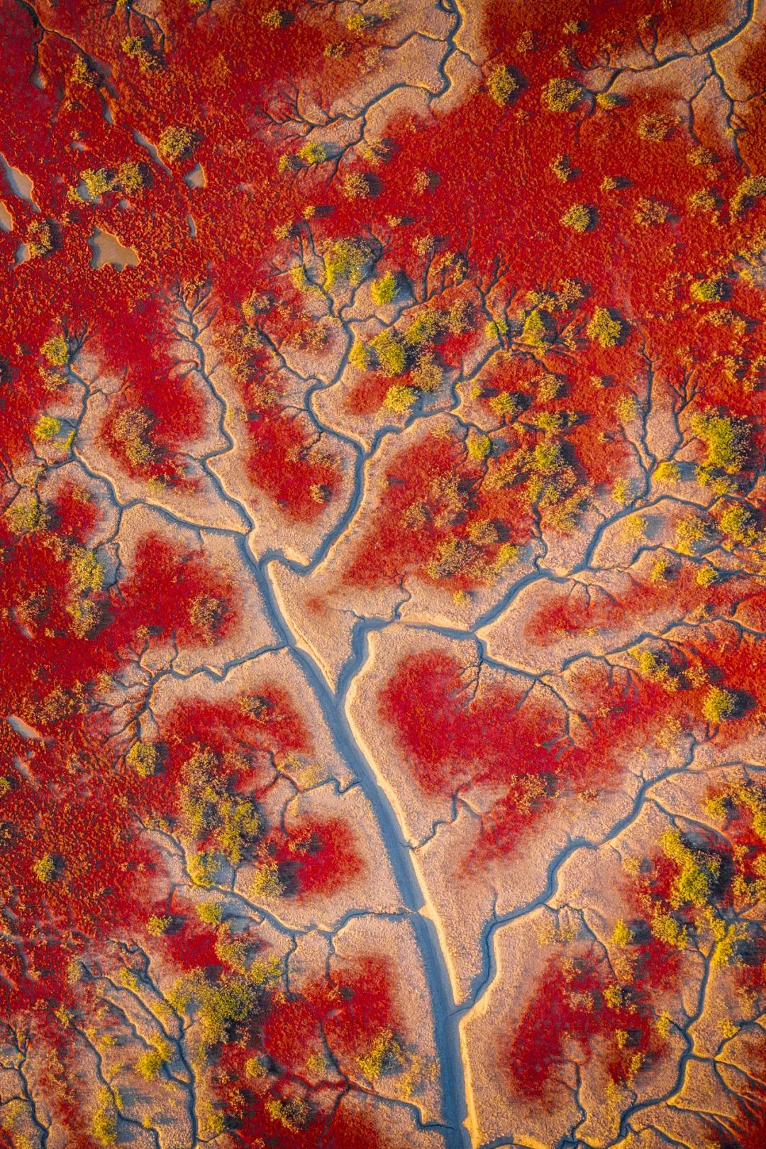 Image related to The Smallest City in Liaoning Supplies All Northeast China with Crabs!