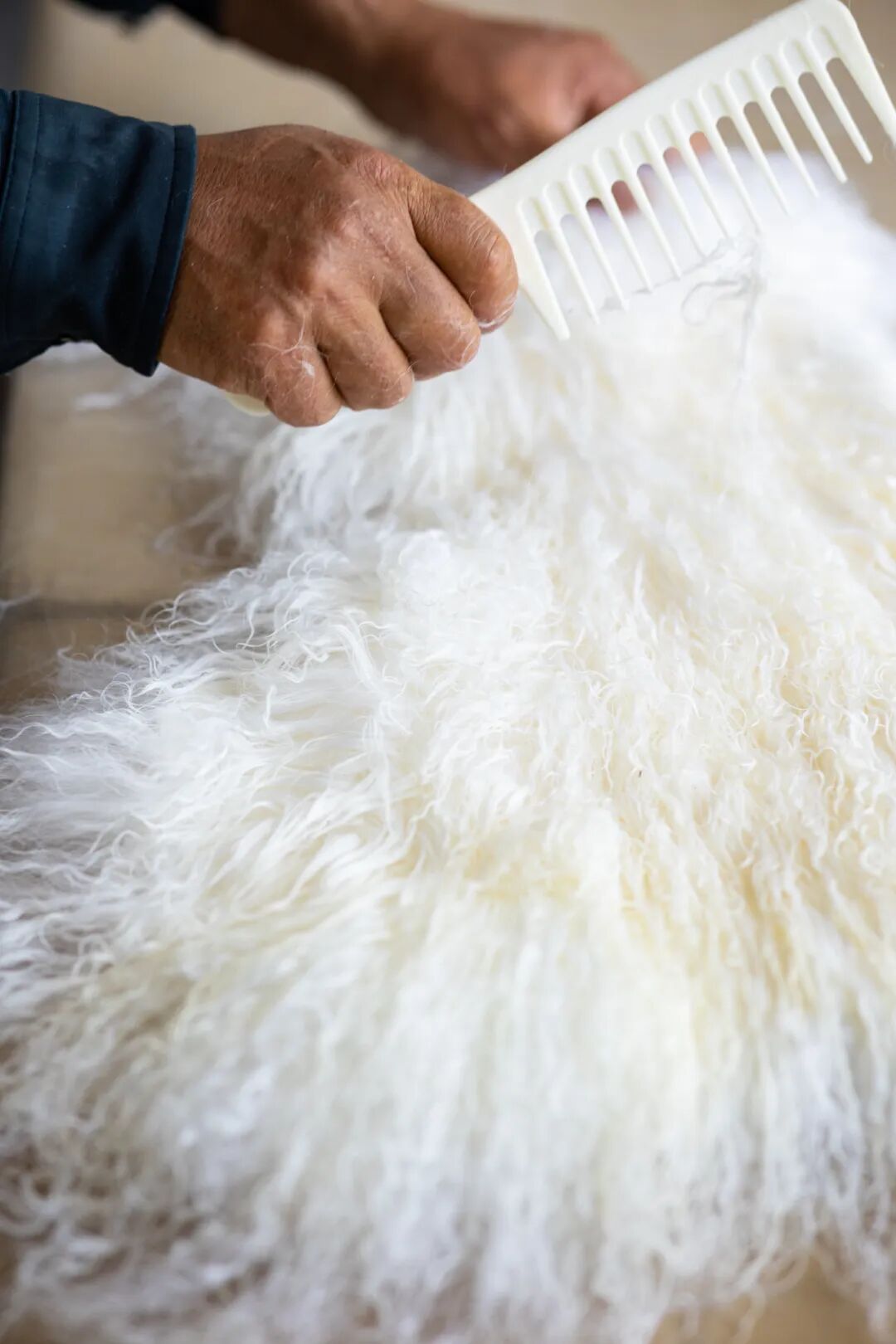 Image related to Why is Yanchi Tan Sheep the Top Choice for Mutton in China?