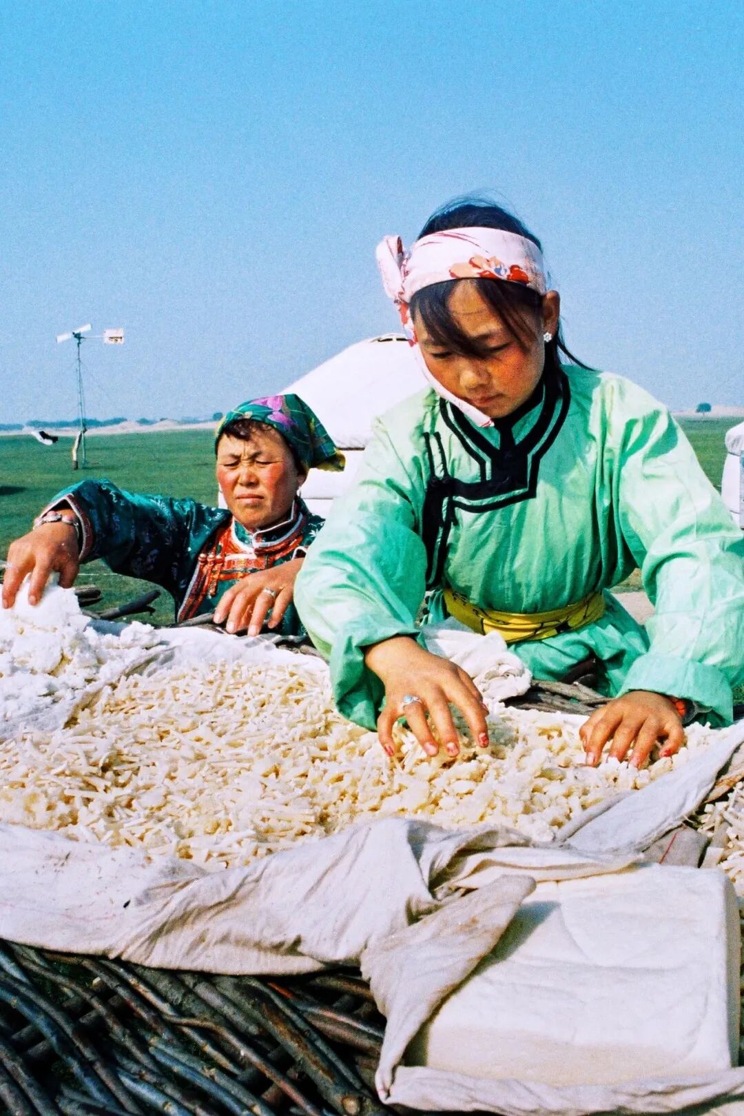 Image related to How Spectacular Has Milk's Journey in China Been?