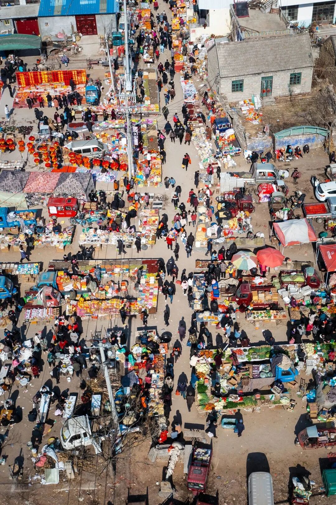 Image related to A Pot Stews Mountains and Seas, Buns Bigger Than Faces: How Lavish Is This Province's New Year Feast?