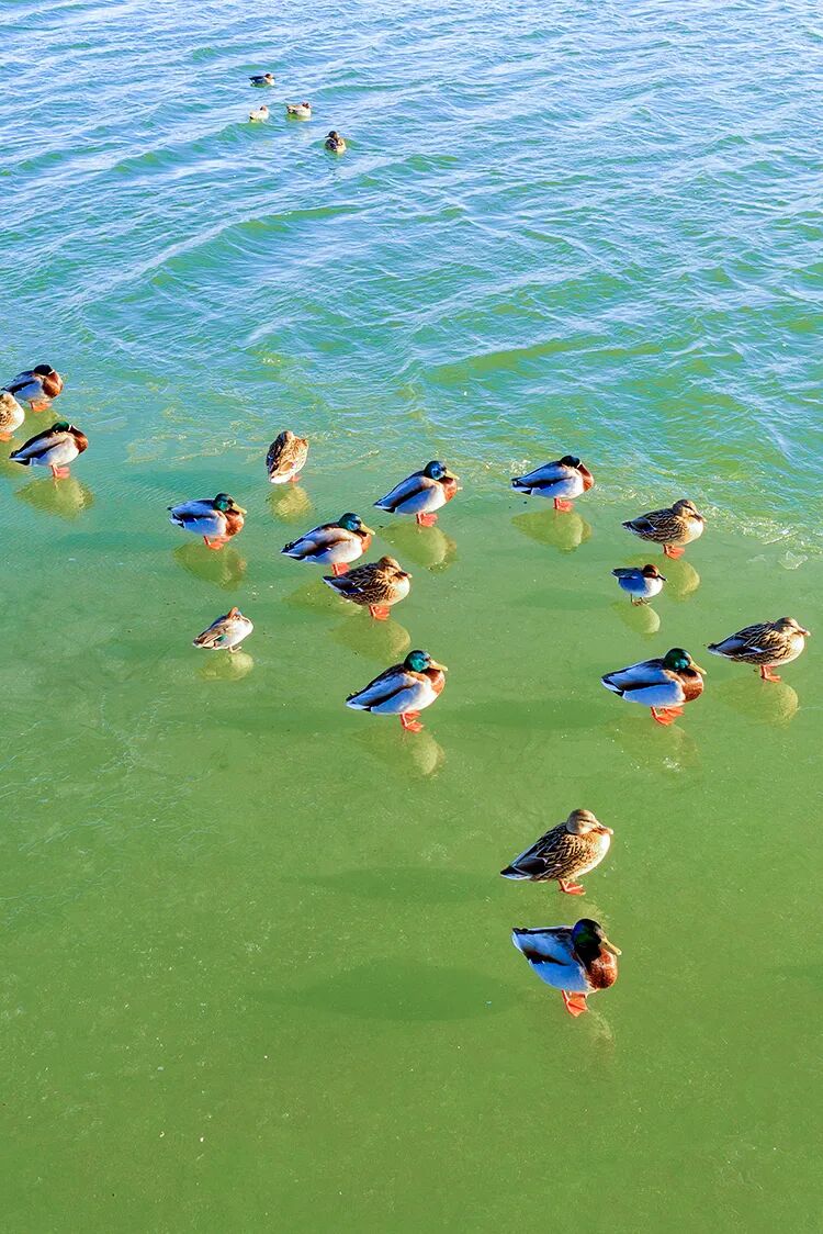 Image related to China's Early Spring Map: Discover 10,000 Ways to Embrace the Season