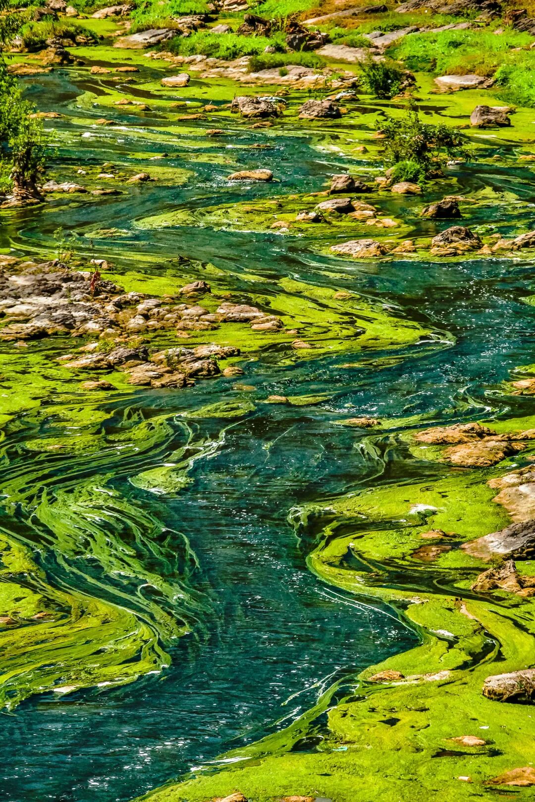 Image related to China's Early Spring Map: Discover 10,000 Ways to Embrace the Season