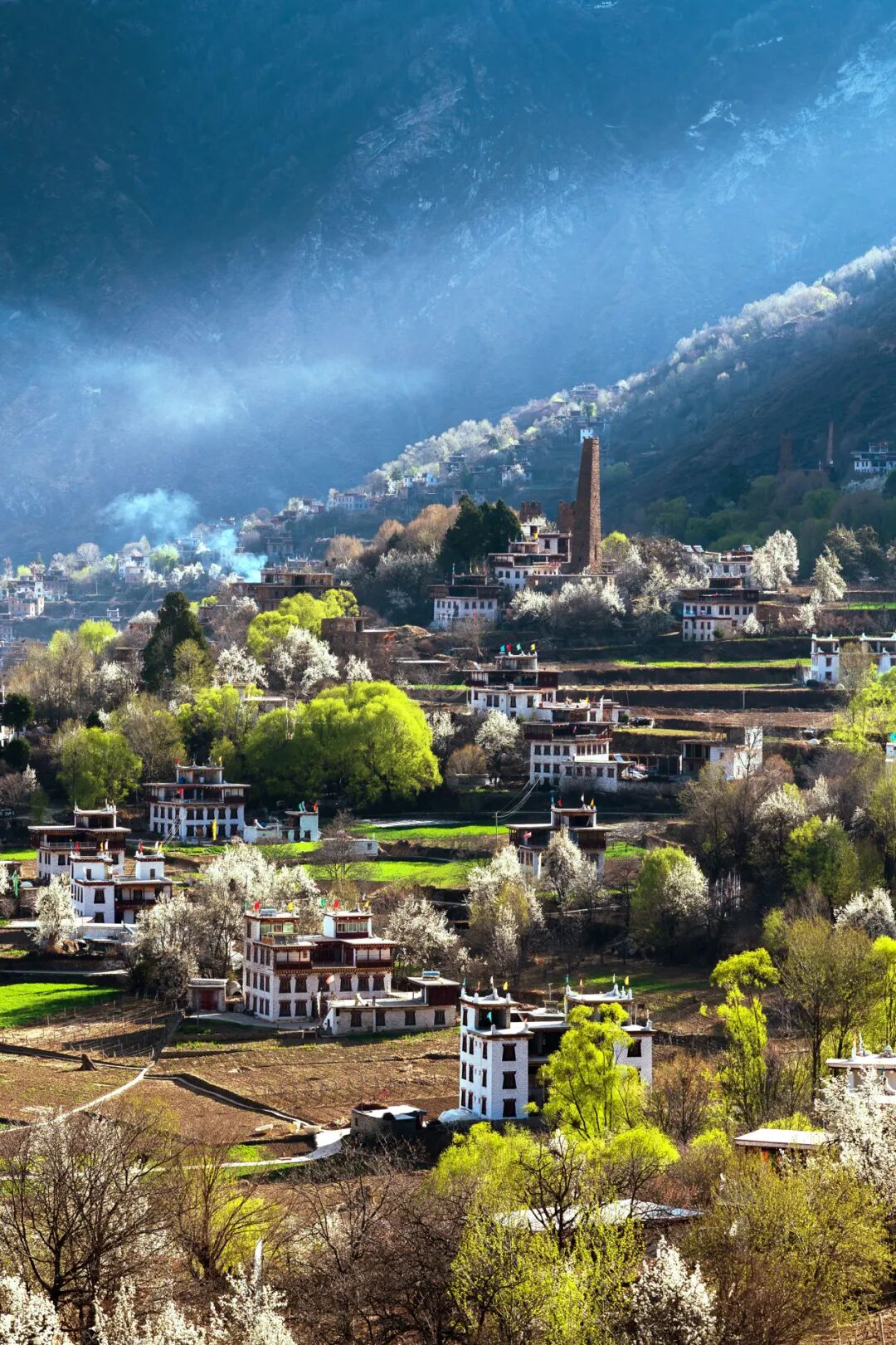 Image related to China's Early Spring Map: Discover 10,000 Ways to Embrace the Season