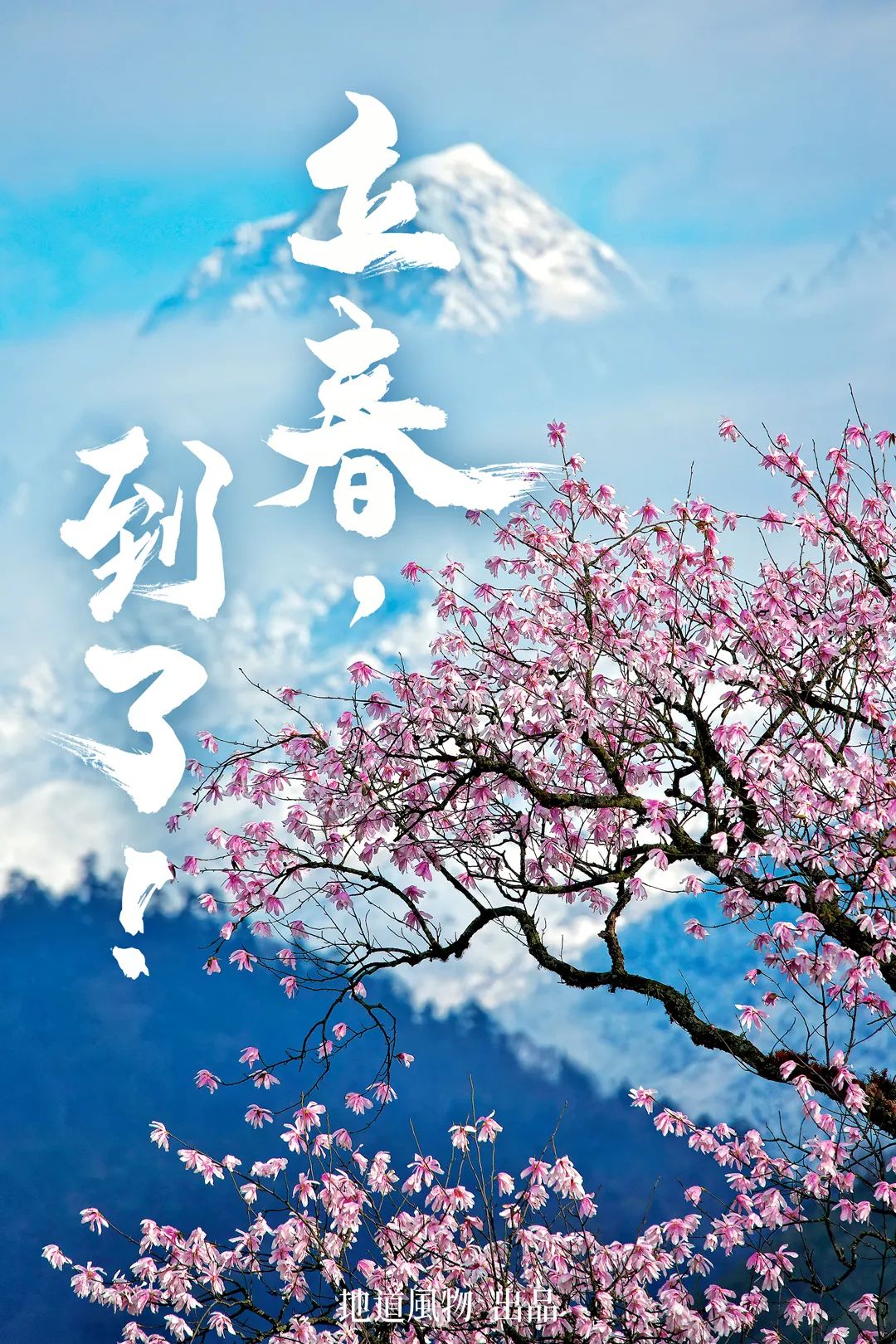 China's Early Spring Map: Discover 10,000 Ways to Embrace the Season