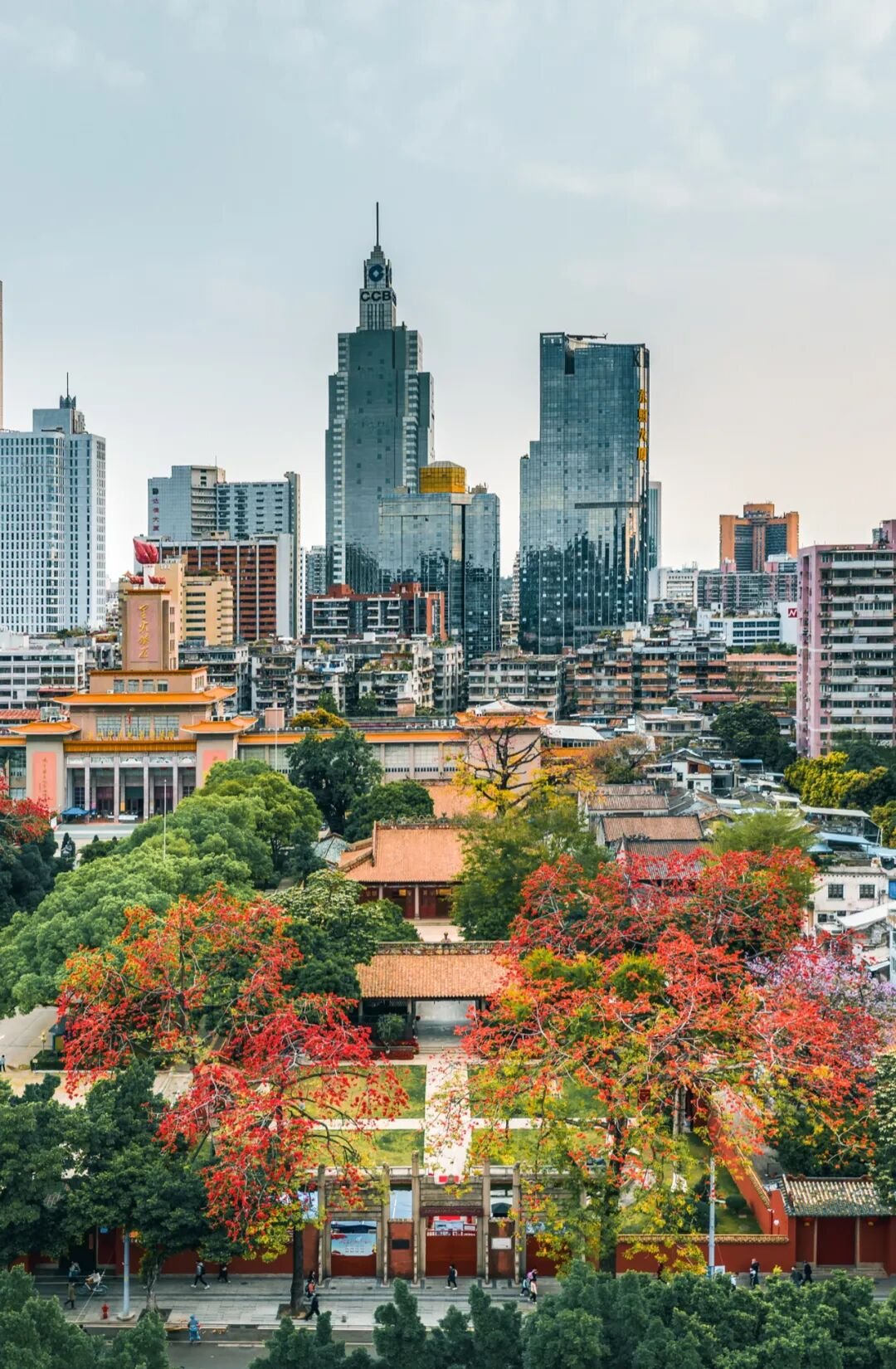 Image related to China's Early Spring Map: Discover 10,000 Ways to Embrace the Season