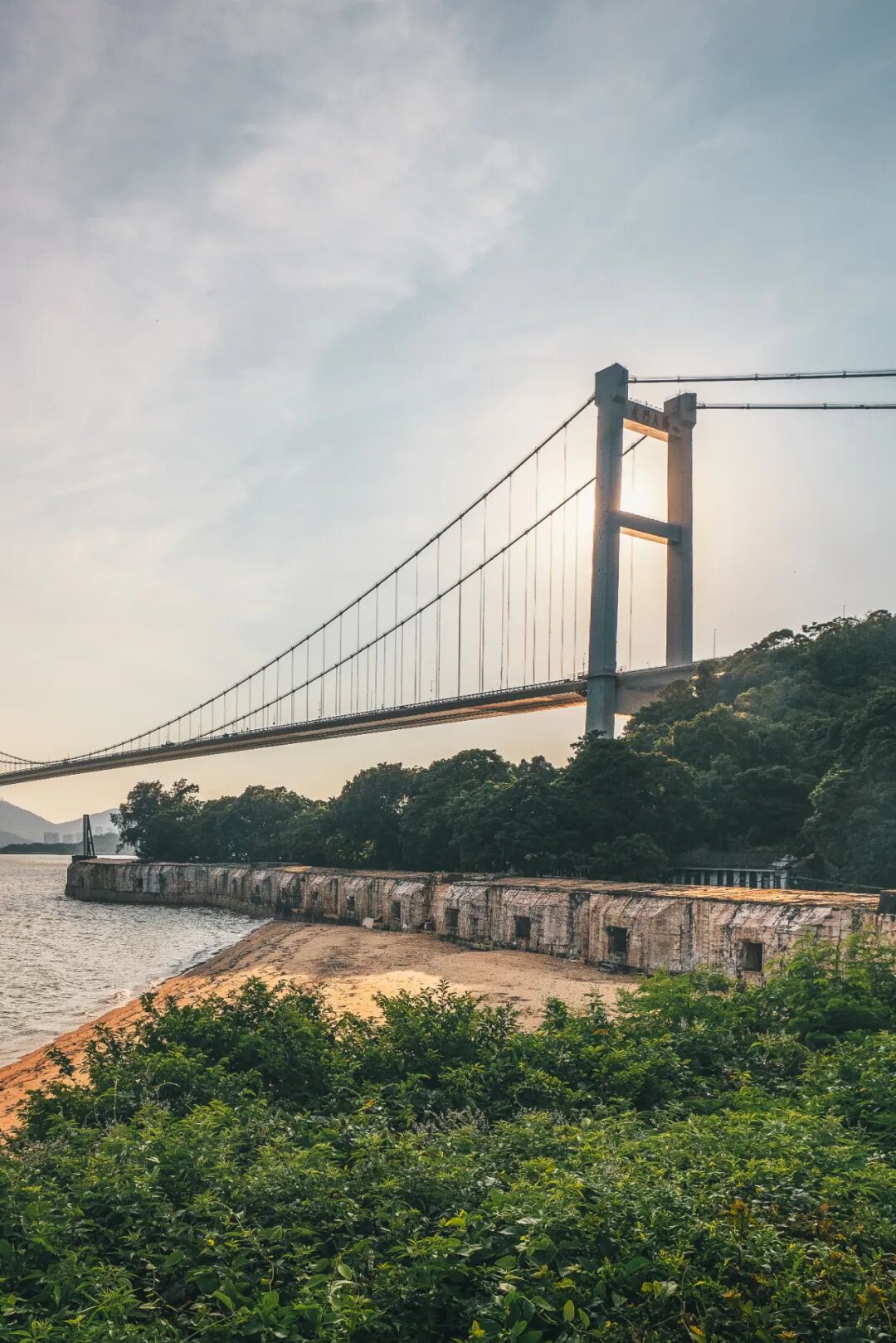 Image related to Hot! Sweet! Trendy! Discover the Vibrant Charms of Guangdong's Dual-Million Metropolis