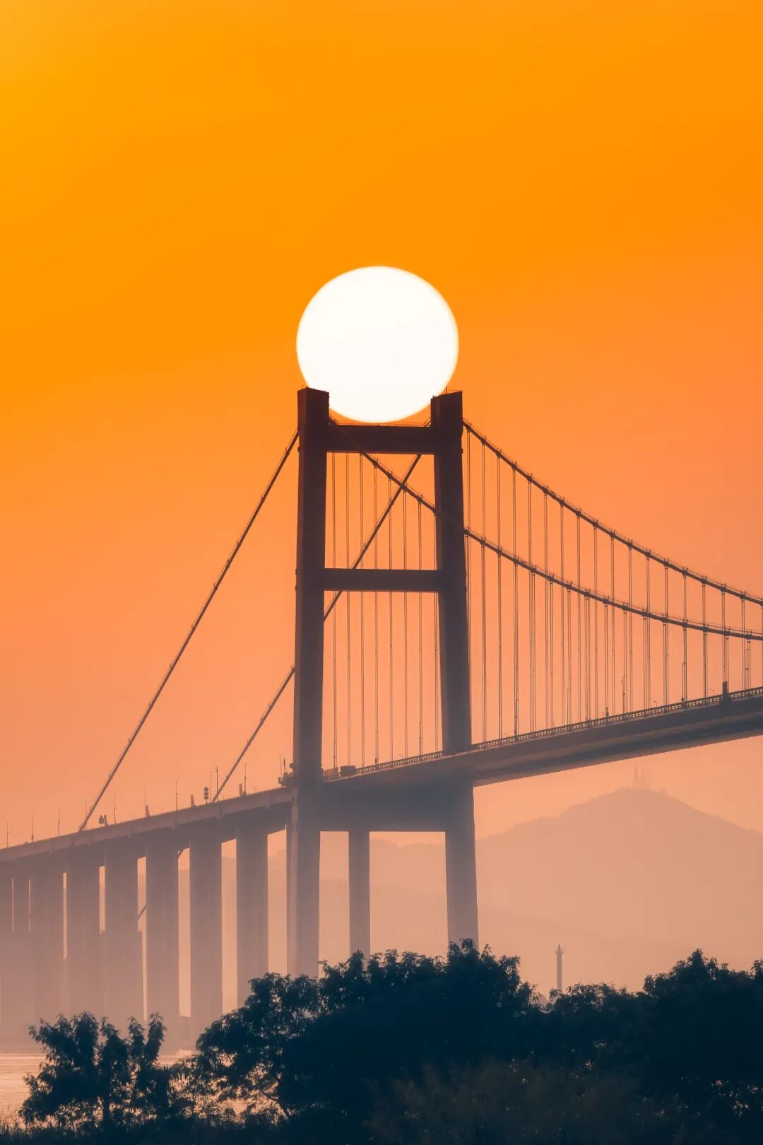Image related to Hot! Sweet! Trendy! Discover the Vibrant Charms of Guangdong's Dual-Million Metropolis