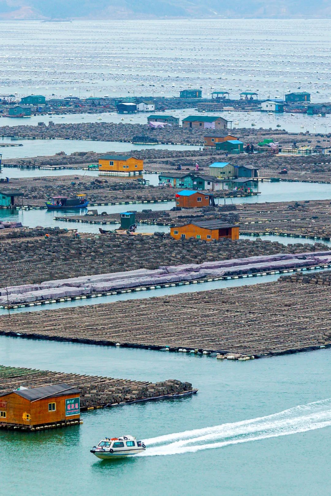 Image related to How Did This Small County in Northeast Fujian Become China's Seafood Sensation?