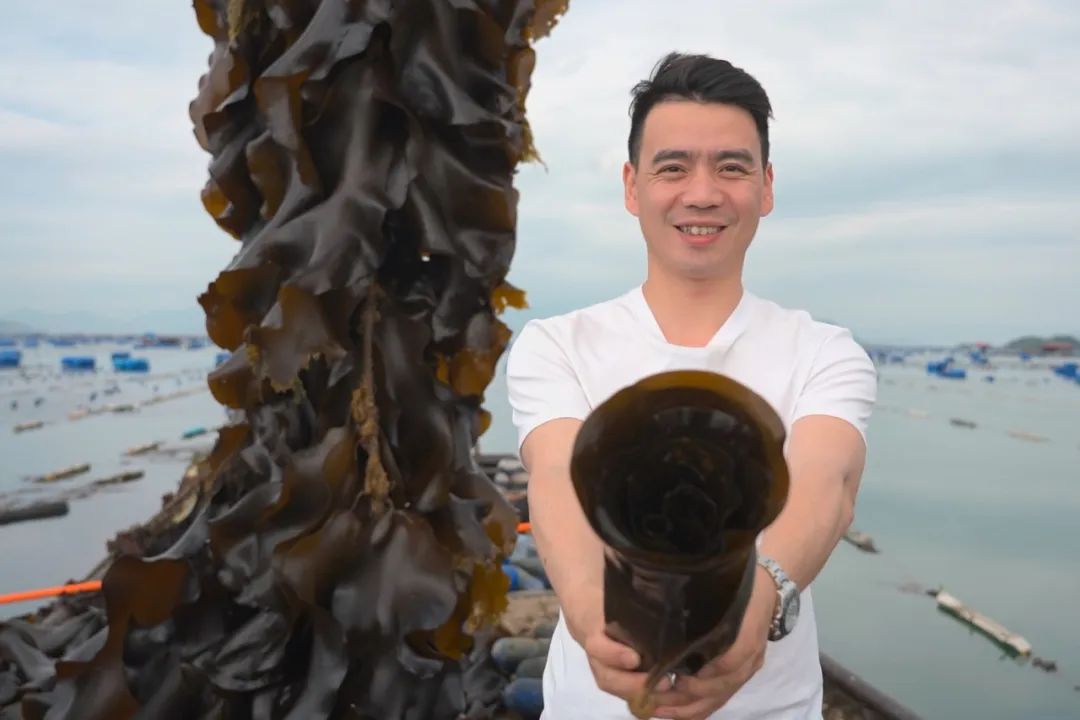 Image related to How Did This Small County in Northeast Fujian Become China's Seafood Sensation?