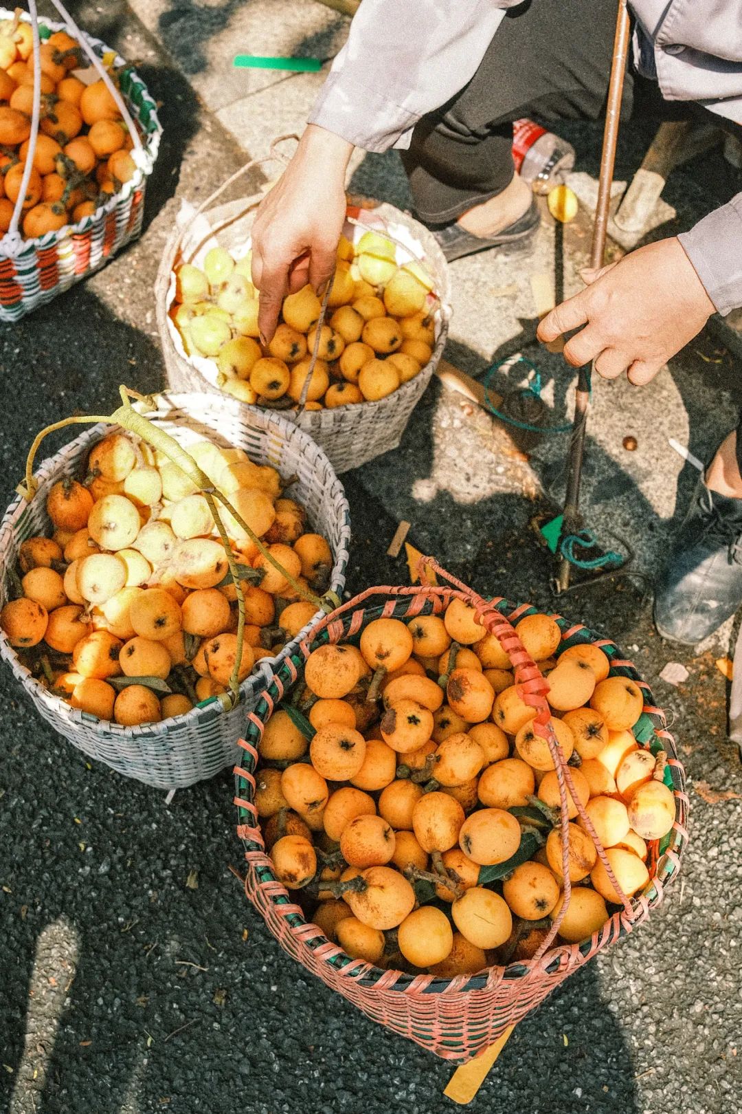 Image related to How Sweet Is China's First Fruit of Early Summer?