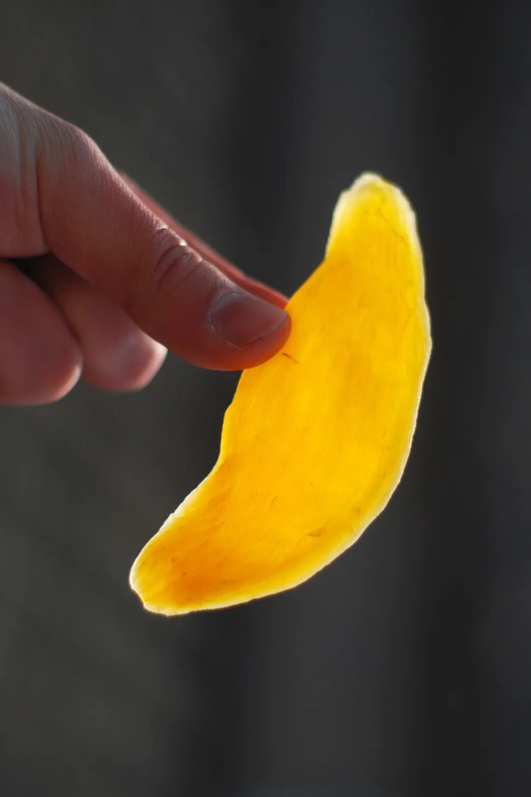Image related to From Mountain Delicacies to Ocean Bounty: How China's Top Dried Goods Province Masters Freshness