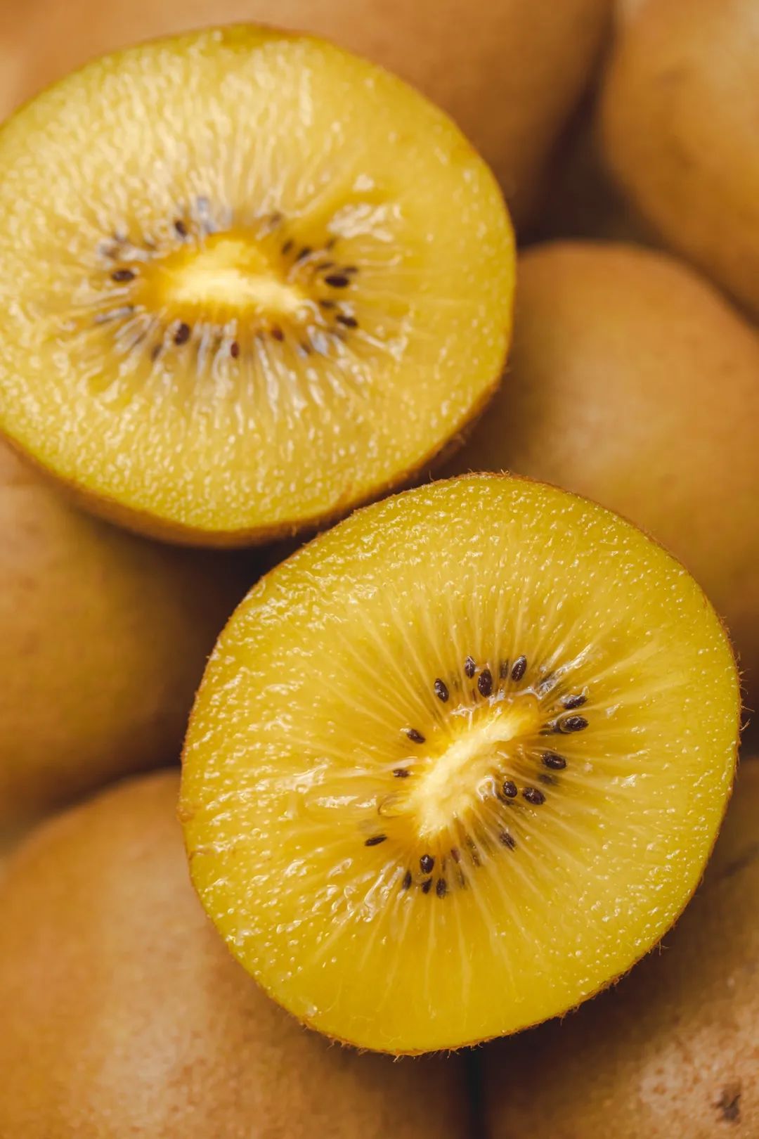 Image related to Why is Guizhou the Kiwi Kingdom?