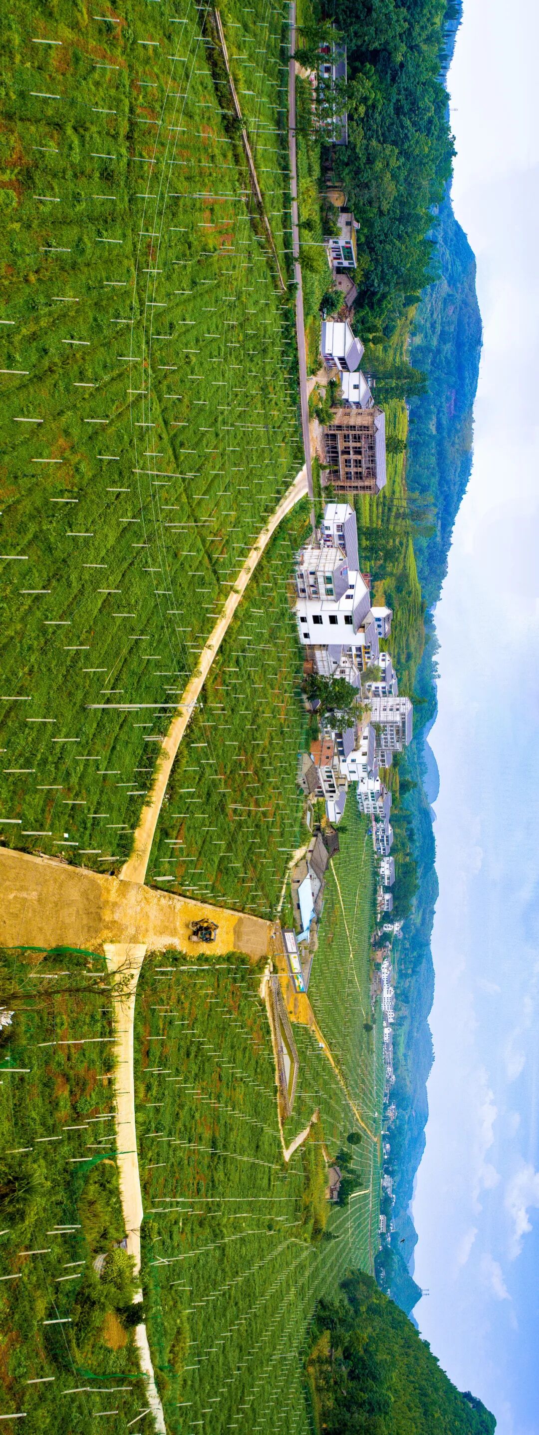 Image related to Why is Guizhou the Kiwi Kingdom?