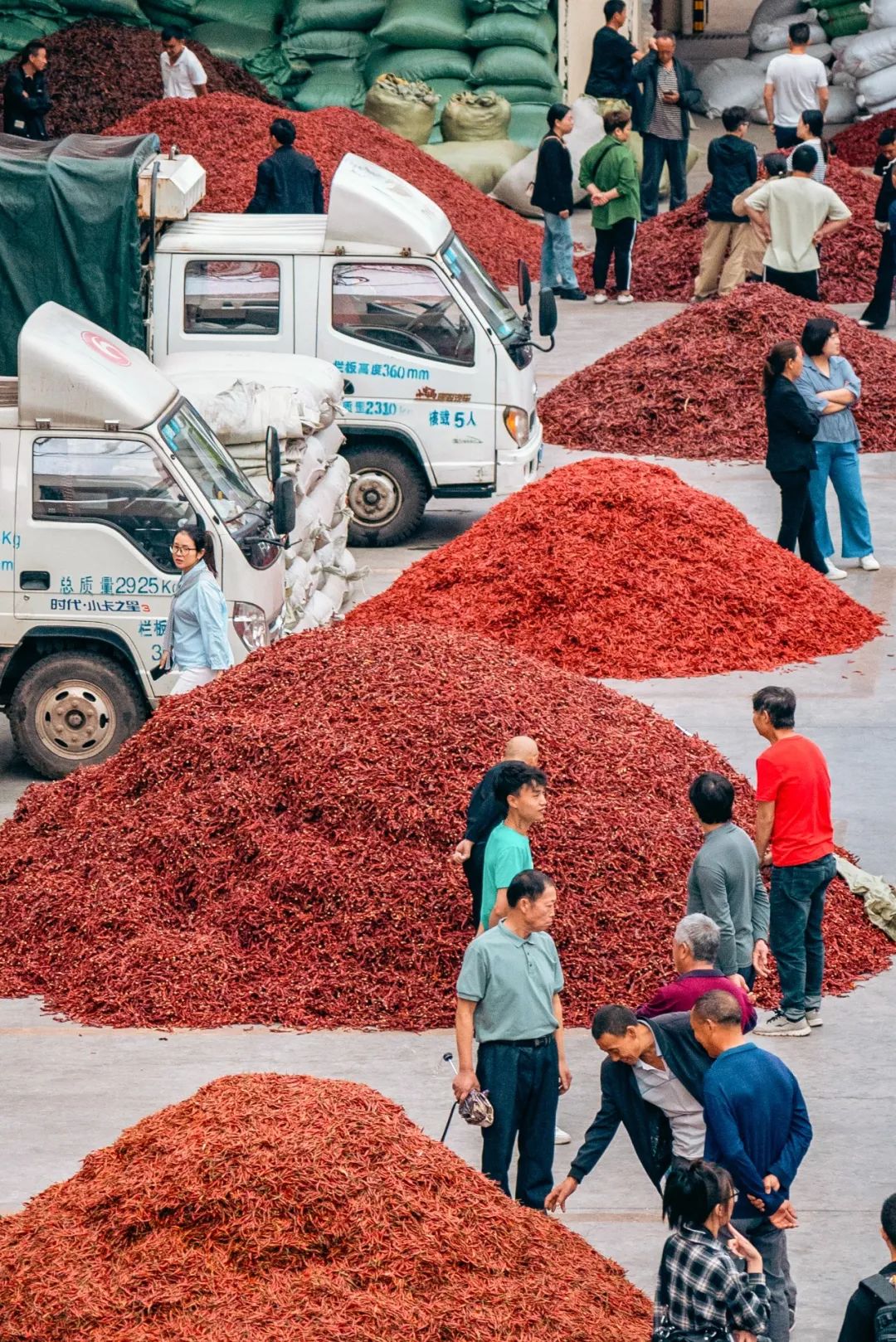 Image related to China's First Chili-Loving Province: A Year of Nonstop Fiery Delights!