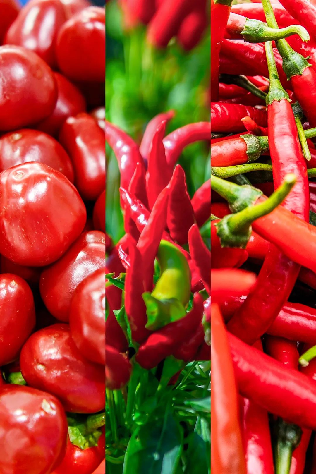 Image related to China's First Chili-Loving Province: A Year of Nonstop Fiery Delights!