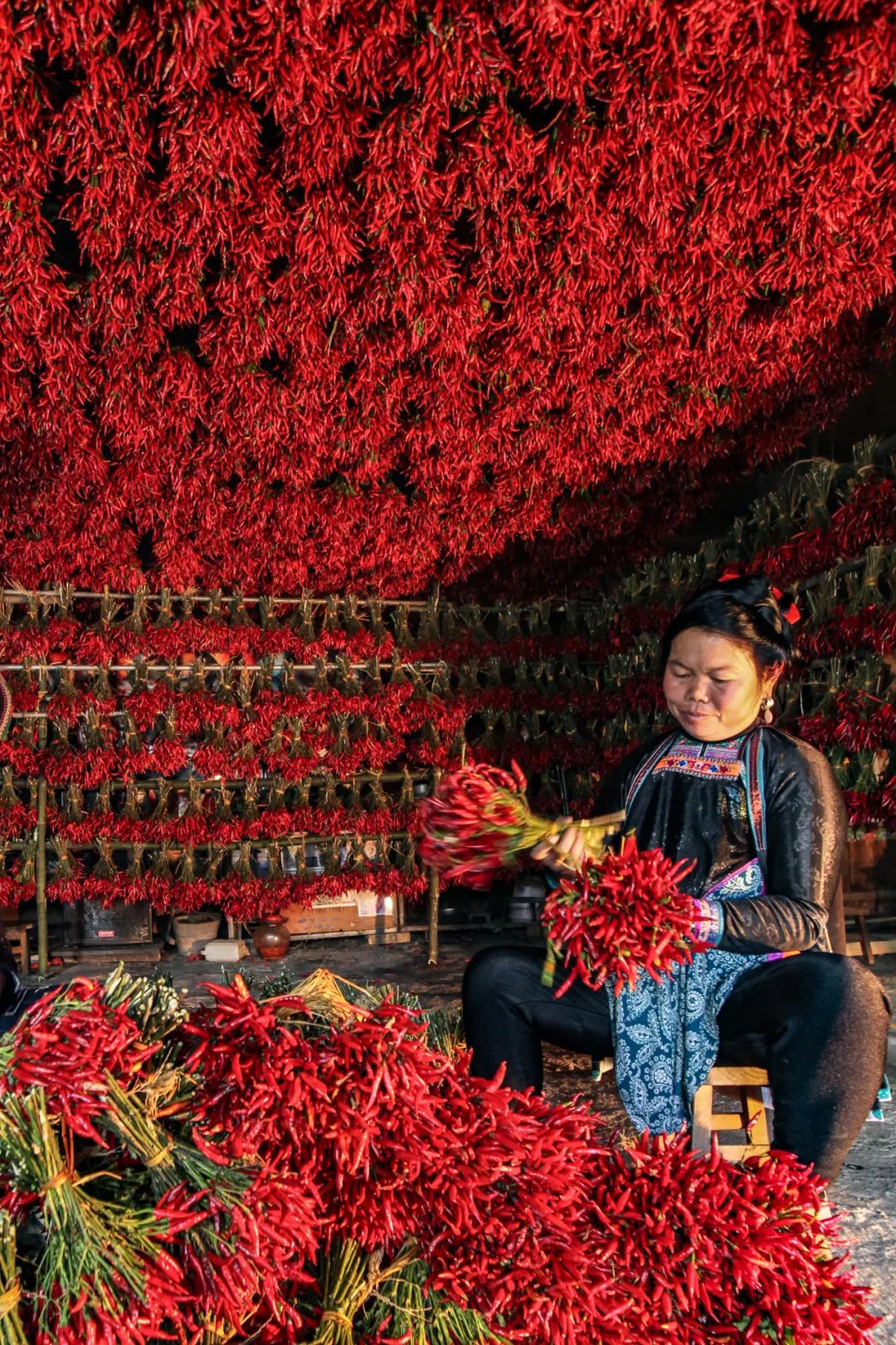 Image related to China's First Chili-Loving Province: A Year of Nonstop Fiery Delights!