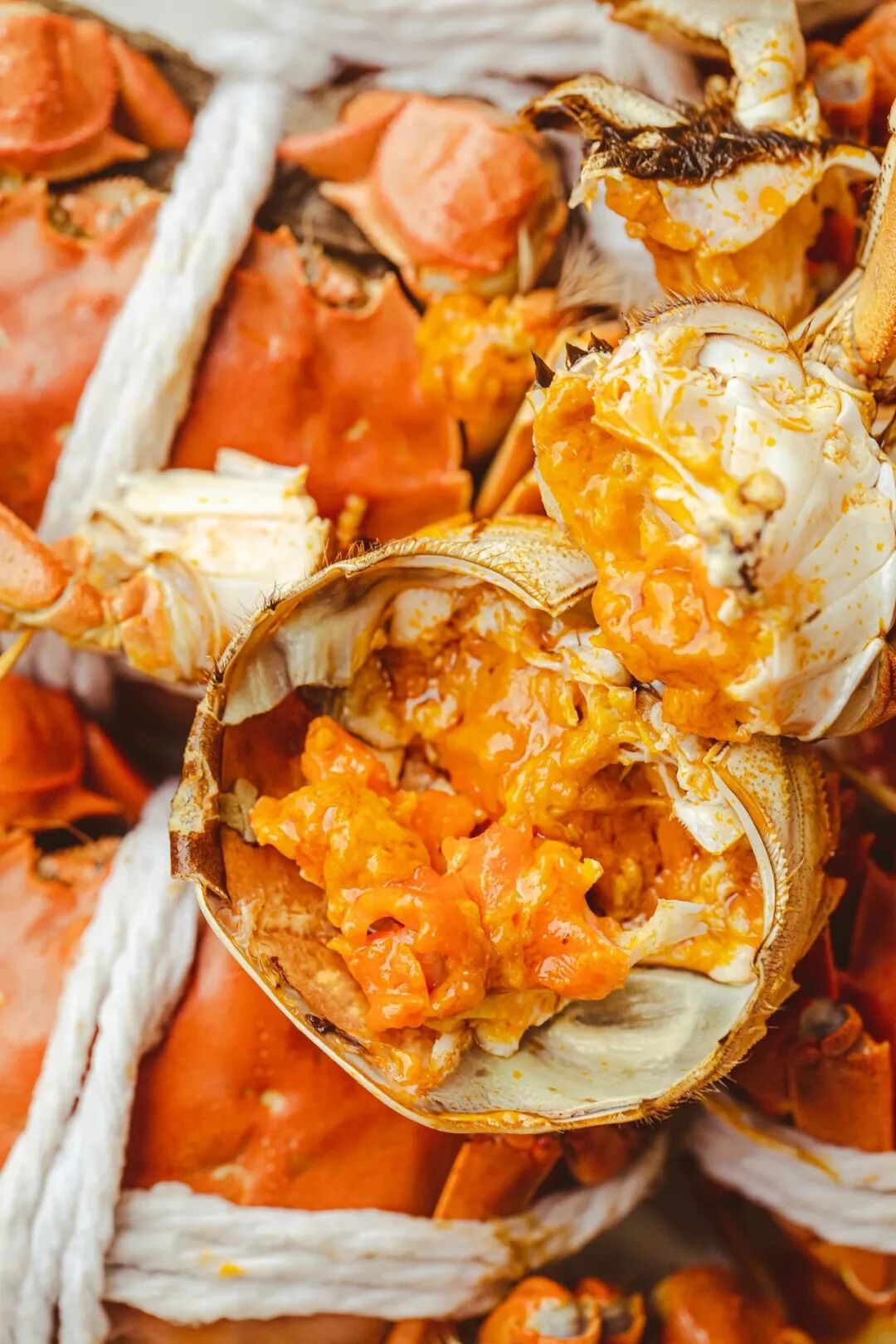 Image related to How Amazing Is Jiangsu's Crab Farming Industry?