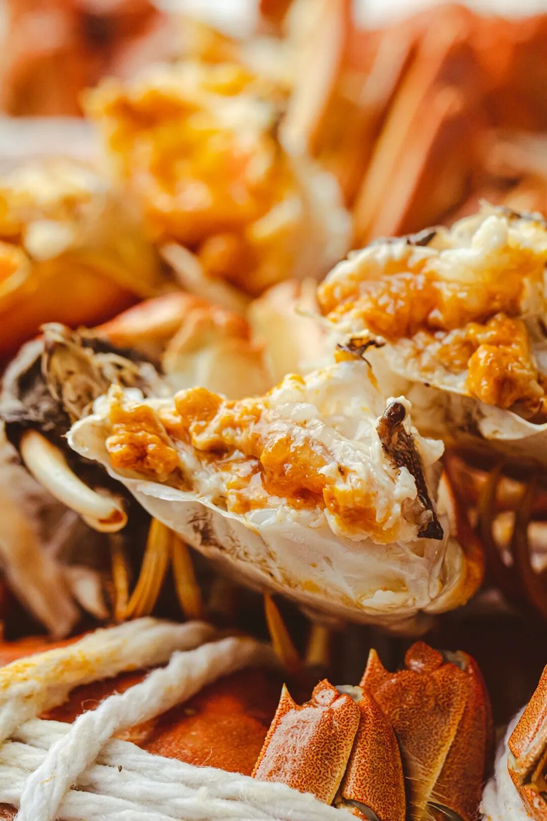 Image related to How Amazing Is Jiangsu's Crab Farming Industry?