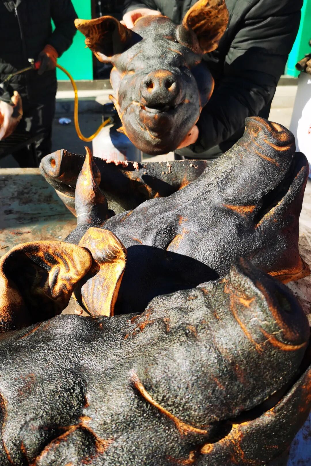 Image related to Who Eats Pork Better Than Northeasterners?