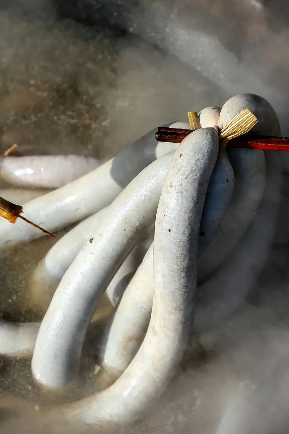 Image related to Who Eats Pork Better Than Northeasterners?