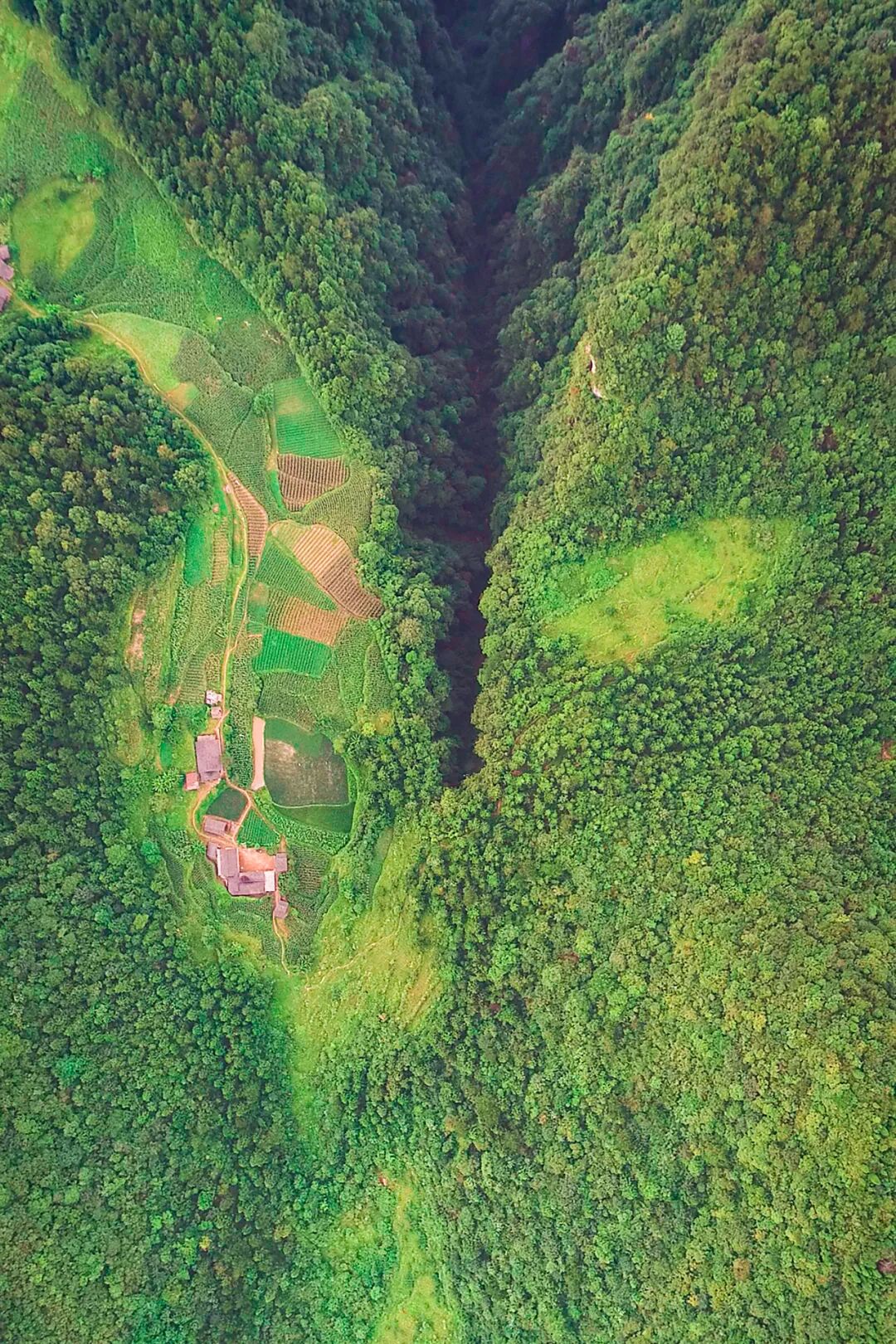 Image related to Green, Green, Green! Tune in to the Mountainous Province's Green Rhapsody!