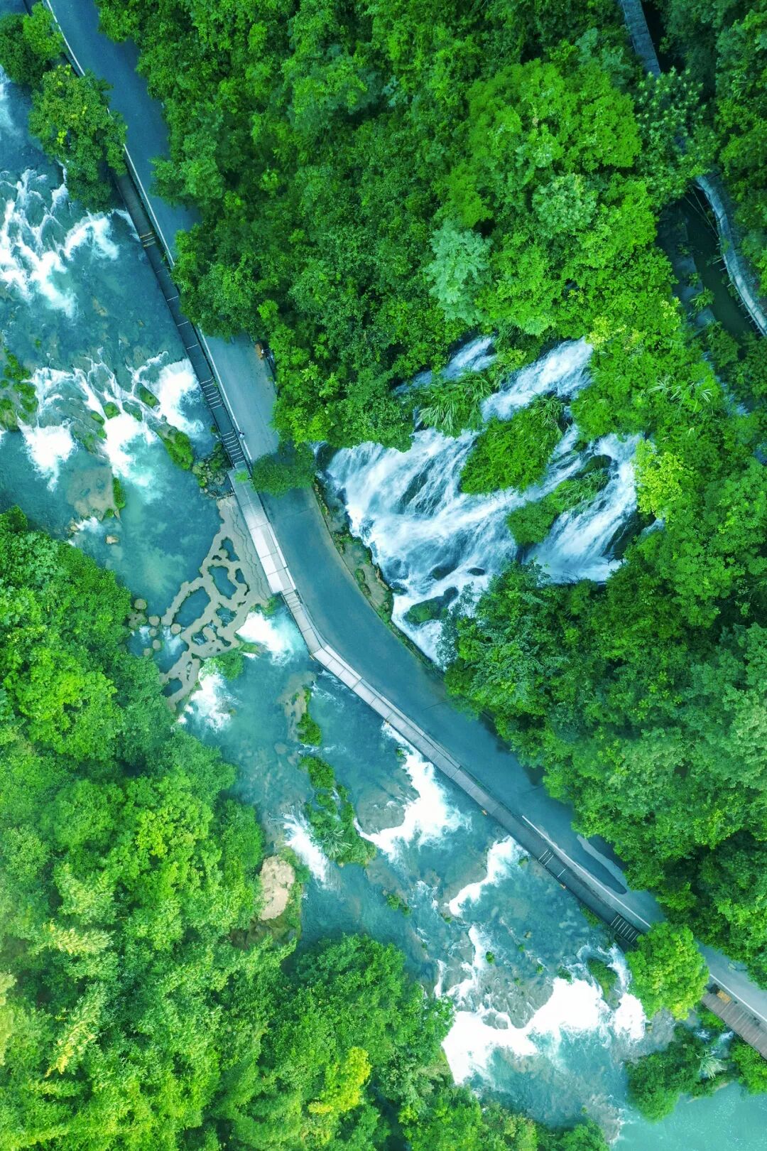 Image related to Green, Green, Green! Tune in to the Mountainous Province's Green Rhapsody!