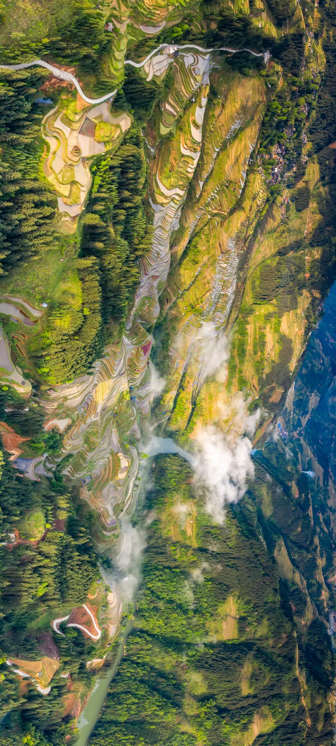 Image related to Green, Green, Green! Tune in to the Mountainous Province's Green Rhapsody!