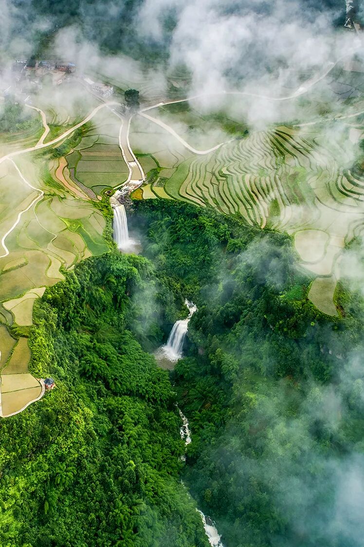 Image related to Green, Green, Green! Tune in to the Mountainous Province's Green Rhapsody!