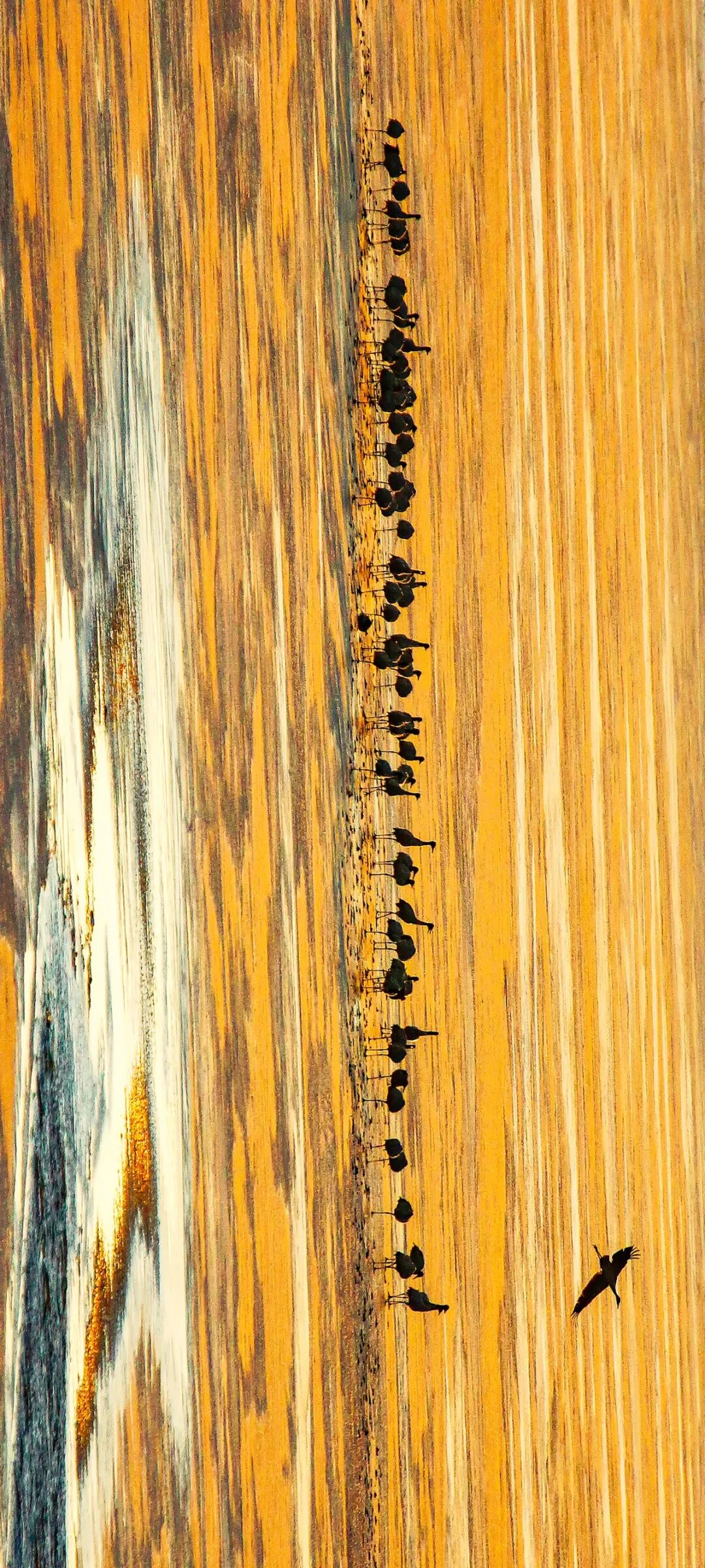 Image related to Green, Green, Green! Tune in to the Mountainous Province's Green Rhapsody!