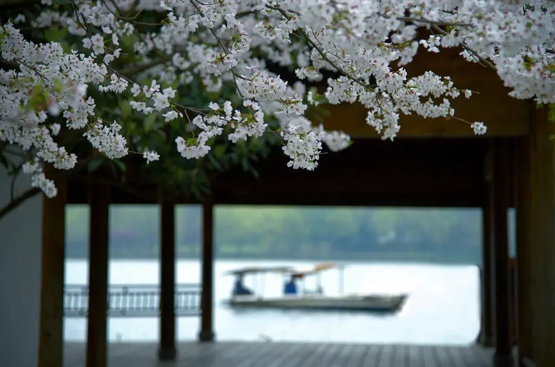 Image related to Why Should West Lake Define the Beauty of China?