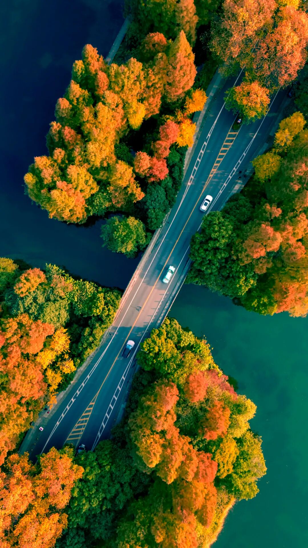 Image related to Why Should West Lake Define the Beauty of China?