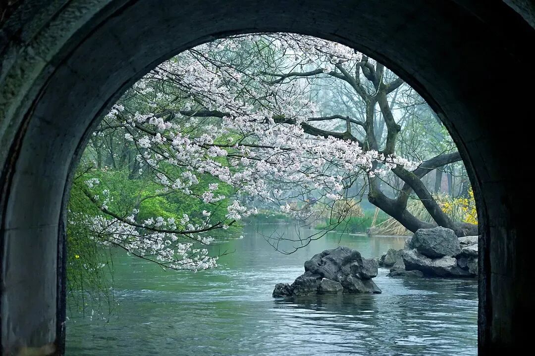 Image related to Why Should West Lake Define the Beauty of China?