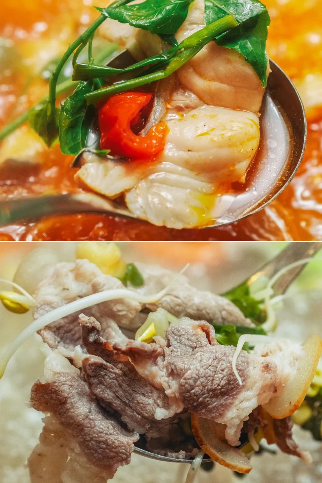 Image related to China's Most Appetizing Hot Pot: The Ultimate Rice Companion Conquering the Culinary World (Not Chongqing)