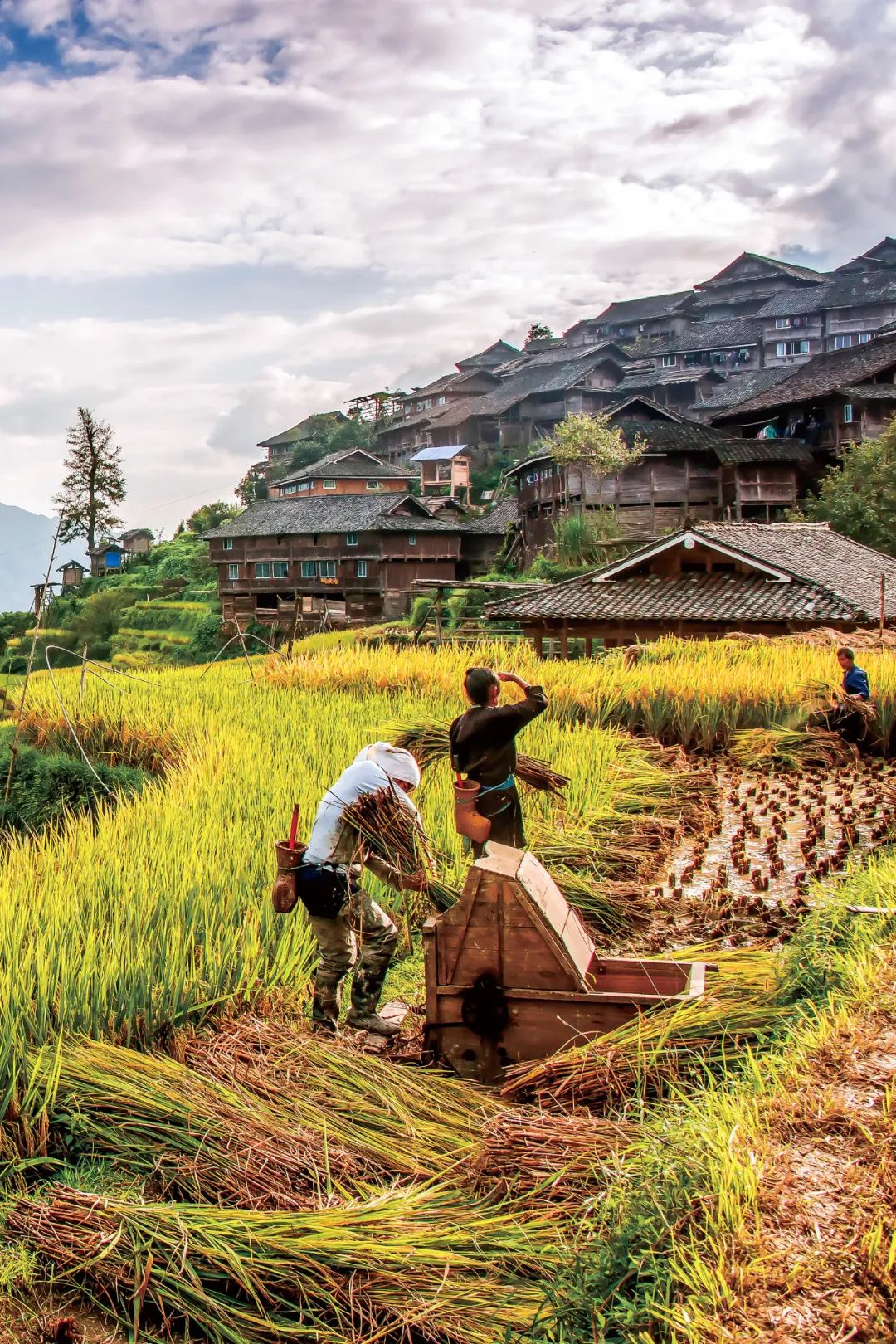 Image related to Guizhou's Myriad Rice Noodles: A Bowl to Captivate Every Palate