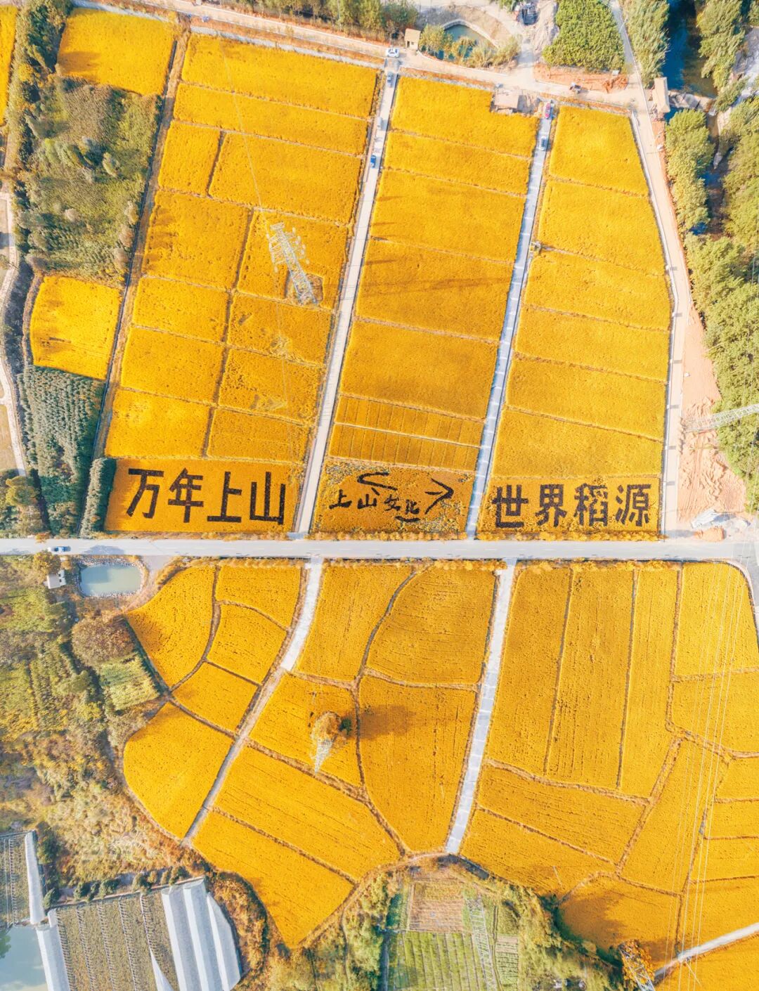 Image related to Why Jinhua is the Center of Zhejiang's Development?