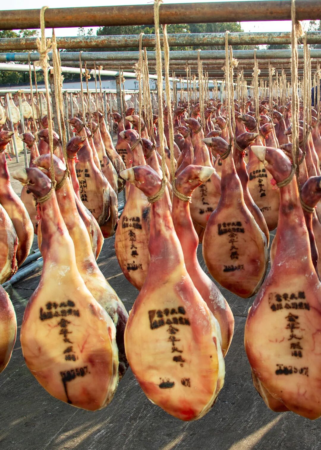 Image related to Why Jinhua is the Center of Zhejiang's Development?