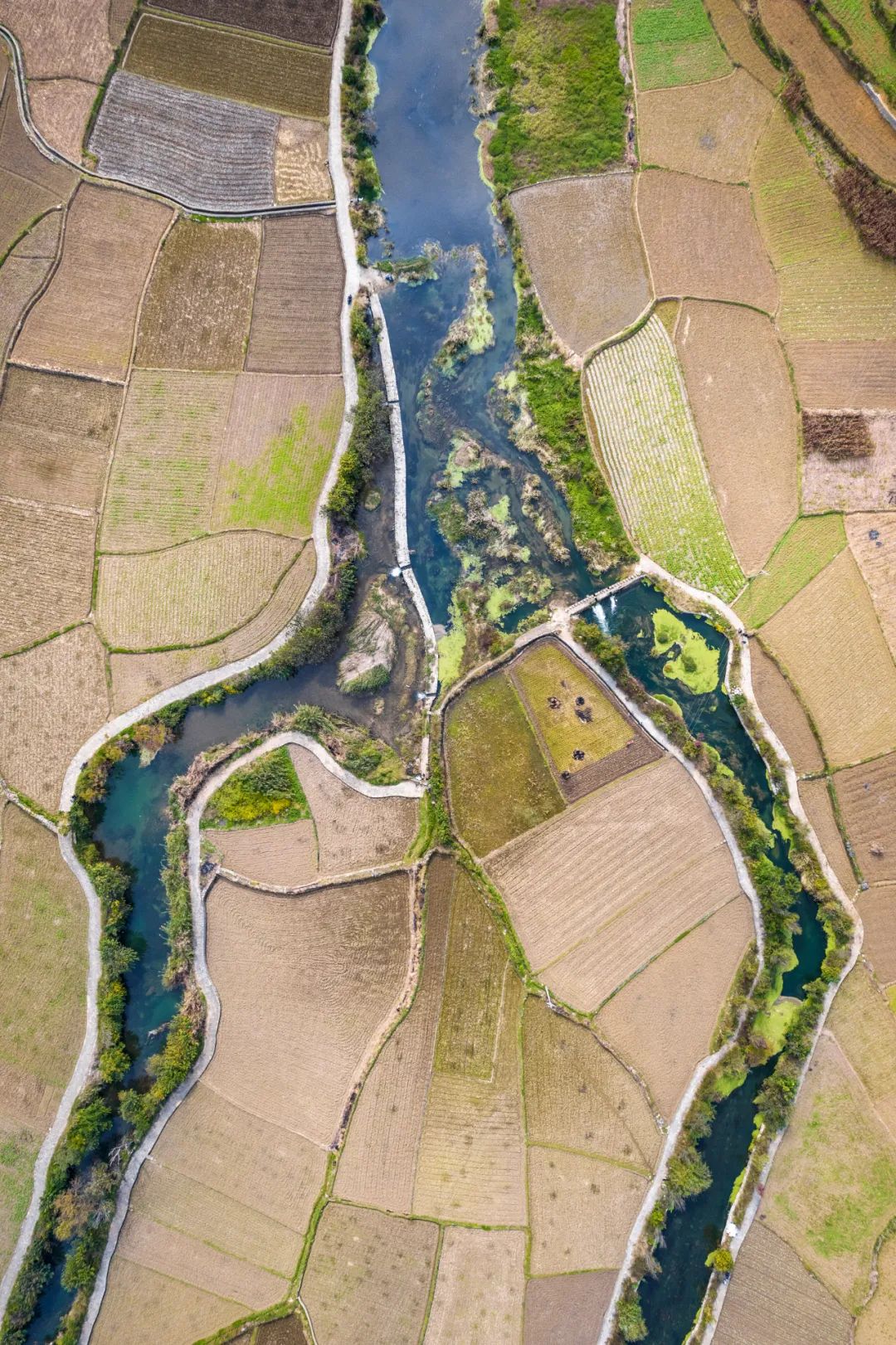 Image related to Colorful, That's Guizhou!