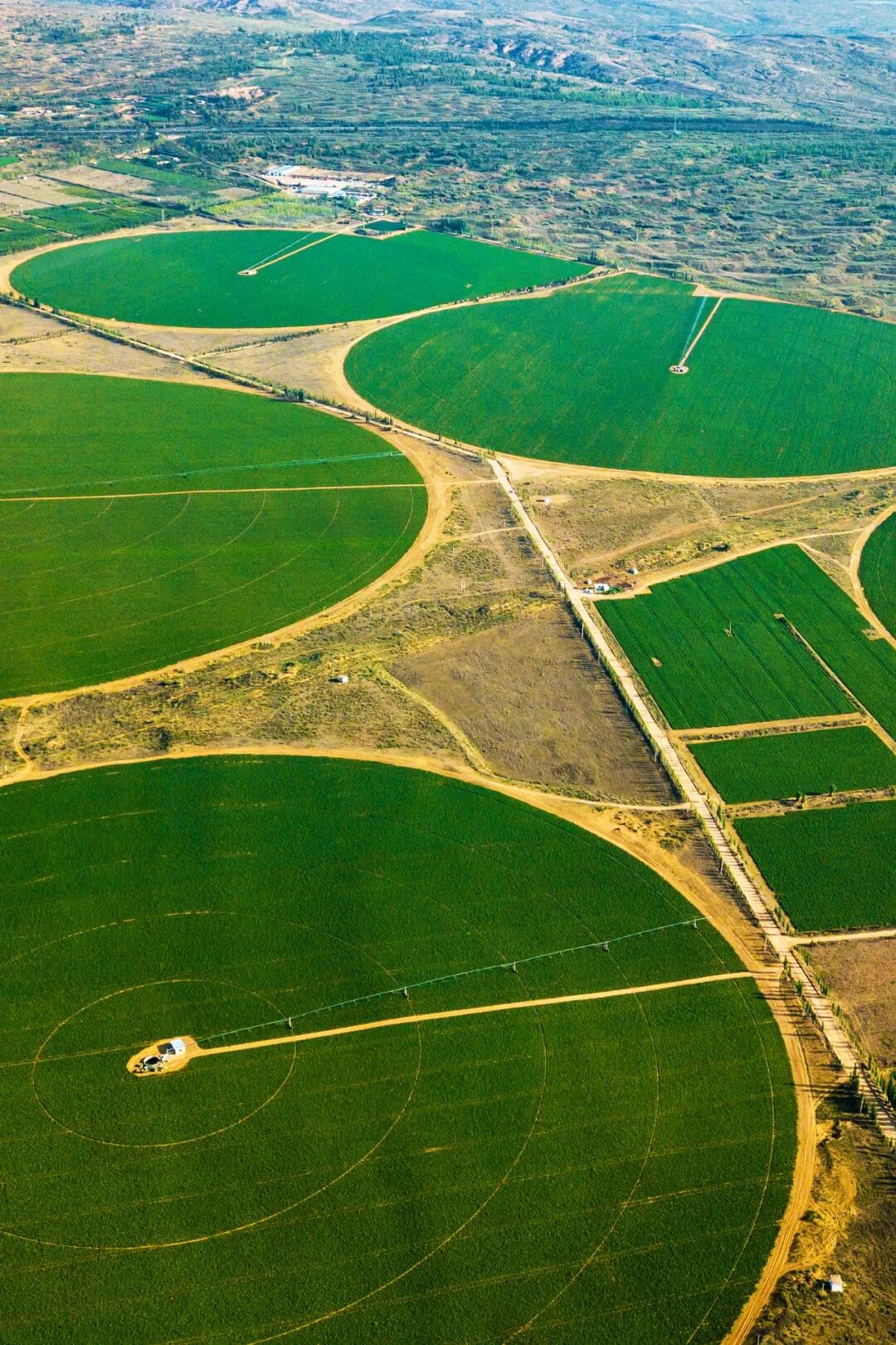 Image related to From Barren Northwest to National Prominence: How Did Shaanxi's Largest City Achieve Its Remarkable Turnaround?
