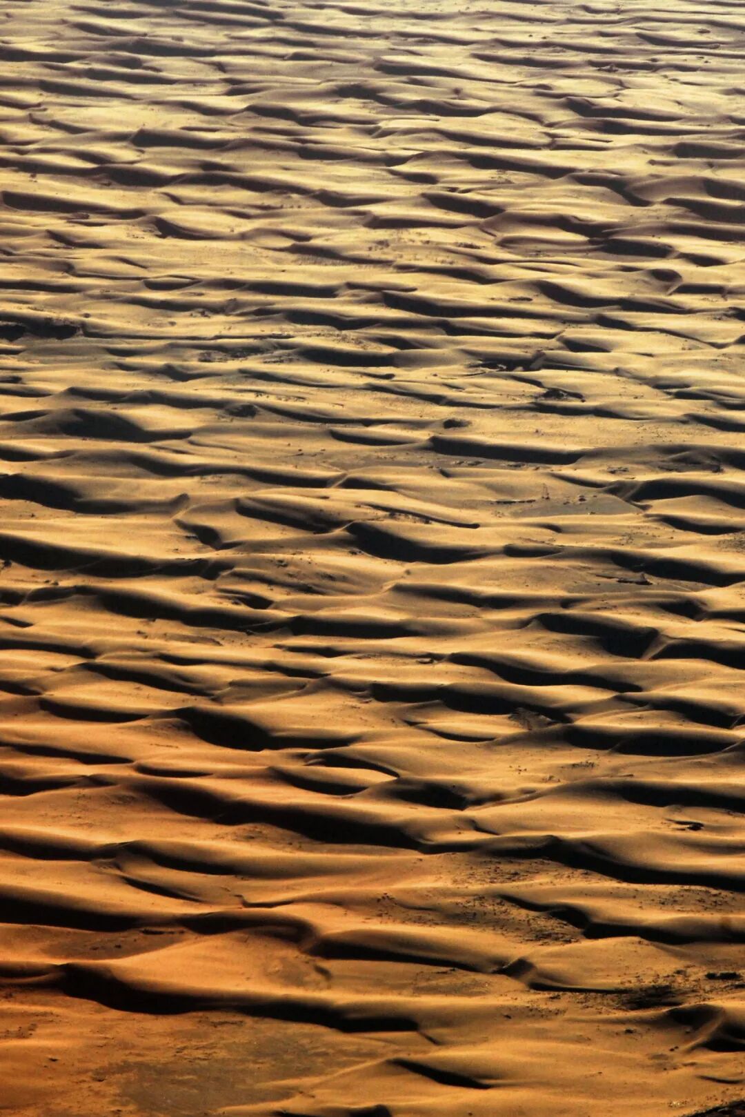 Image related to From Barren Northwest to National Prominence: How Did Shaanxi's Largest City Achieve Its Remarkable Turnaround?