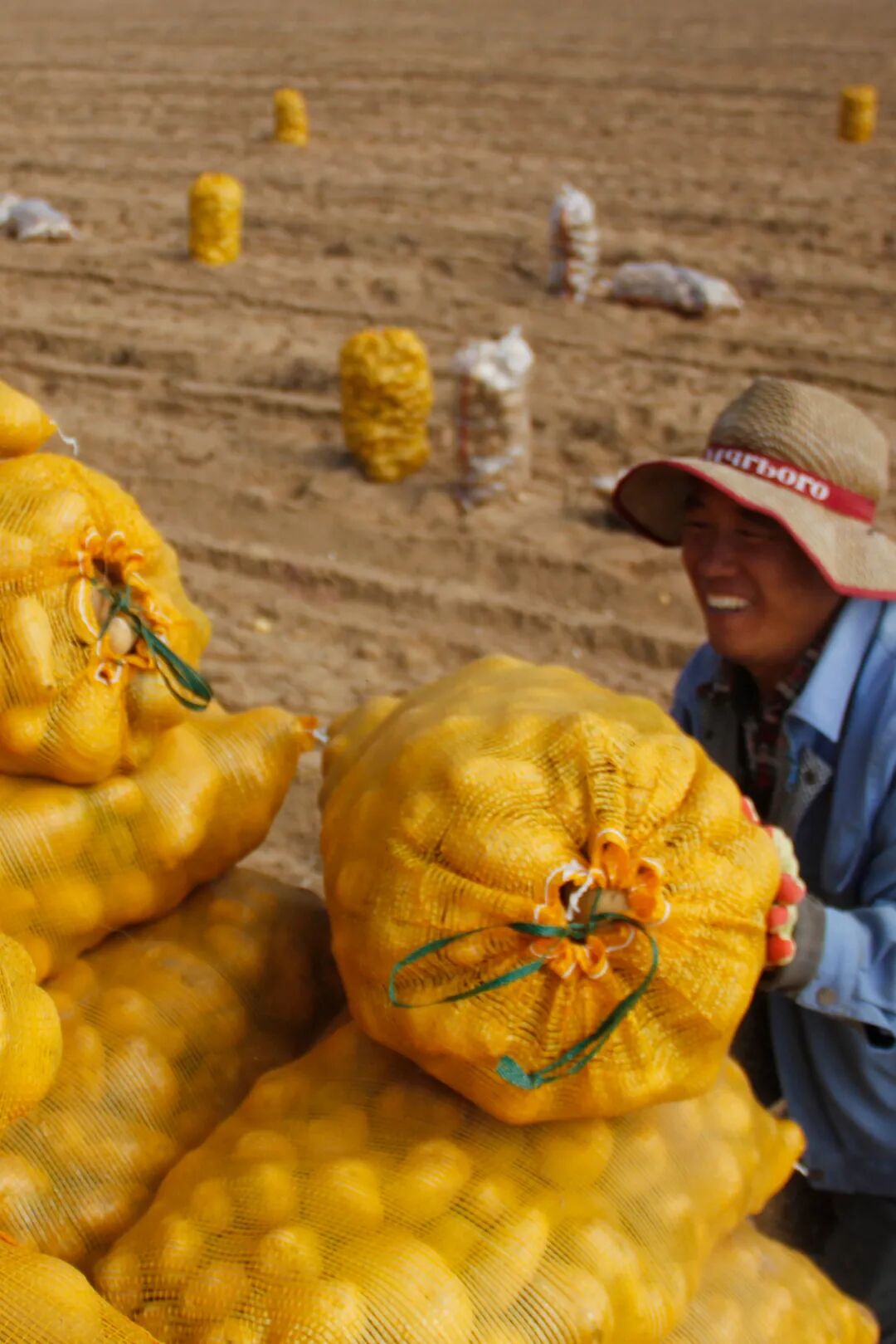 Image related to From Barren Northwest to National Prominence: How Did Shaanxi's Largest City Achieve Its Remarkable Turnaround?