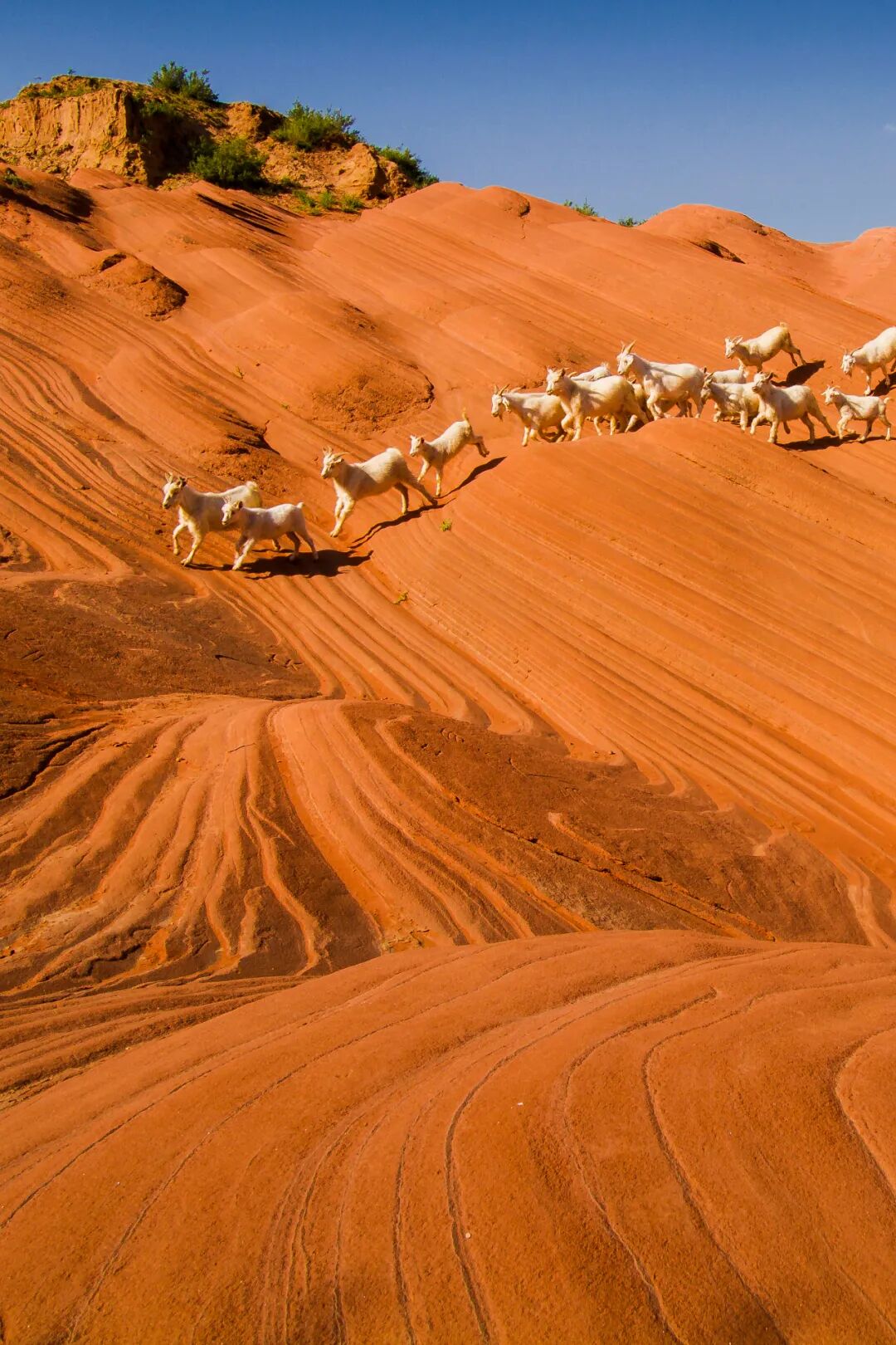 Image related to From Barren Northwest to National Prominence: How Did Shaanxi's Largest City Achieve Its Remarkable Turnaround?