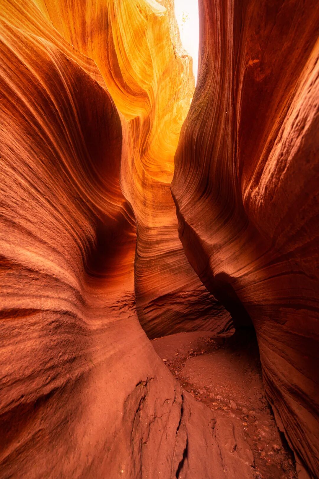 Image related to From Barren Northwest to National Prominence: How Did Shaanxi's Largest City Achieve Its Remarkable Turnaround?