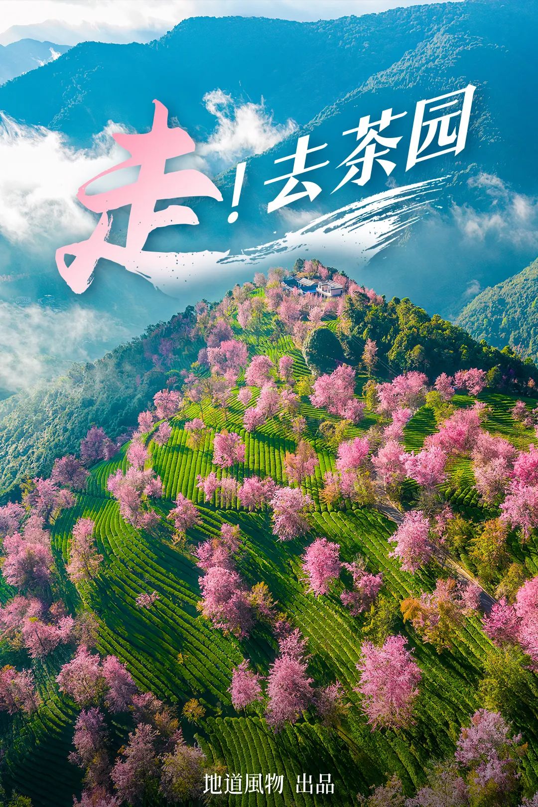 The Ultimate Spring Tea Map: China's Most Beautiful Springscapes Revealed