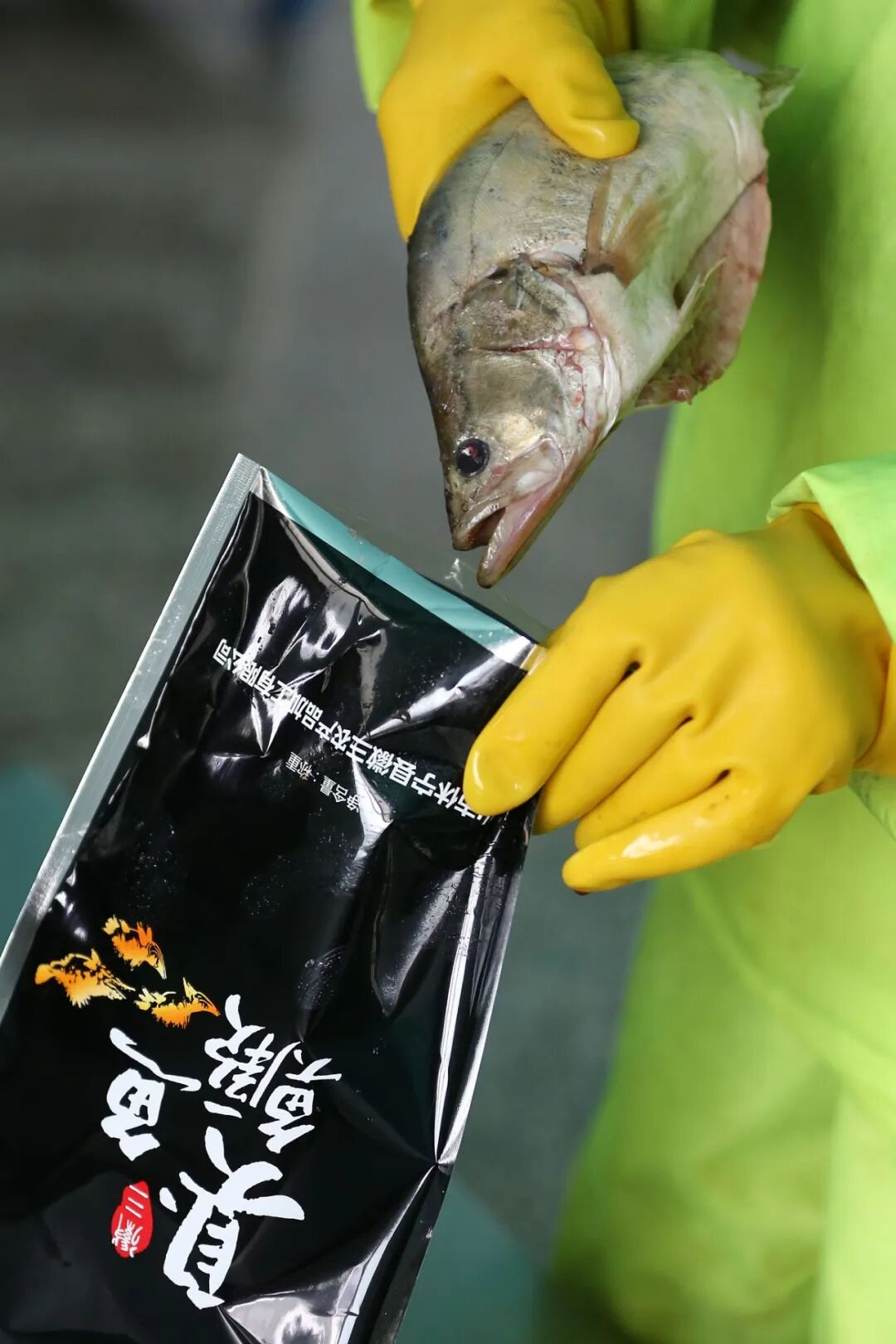 Image related to How Did Stinky Mandarin Fish Become the Icon of Anhui Cuisine?
