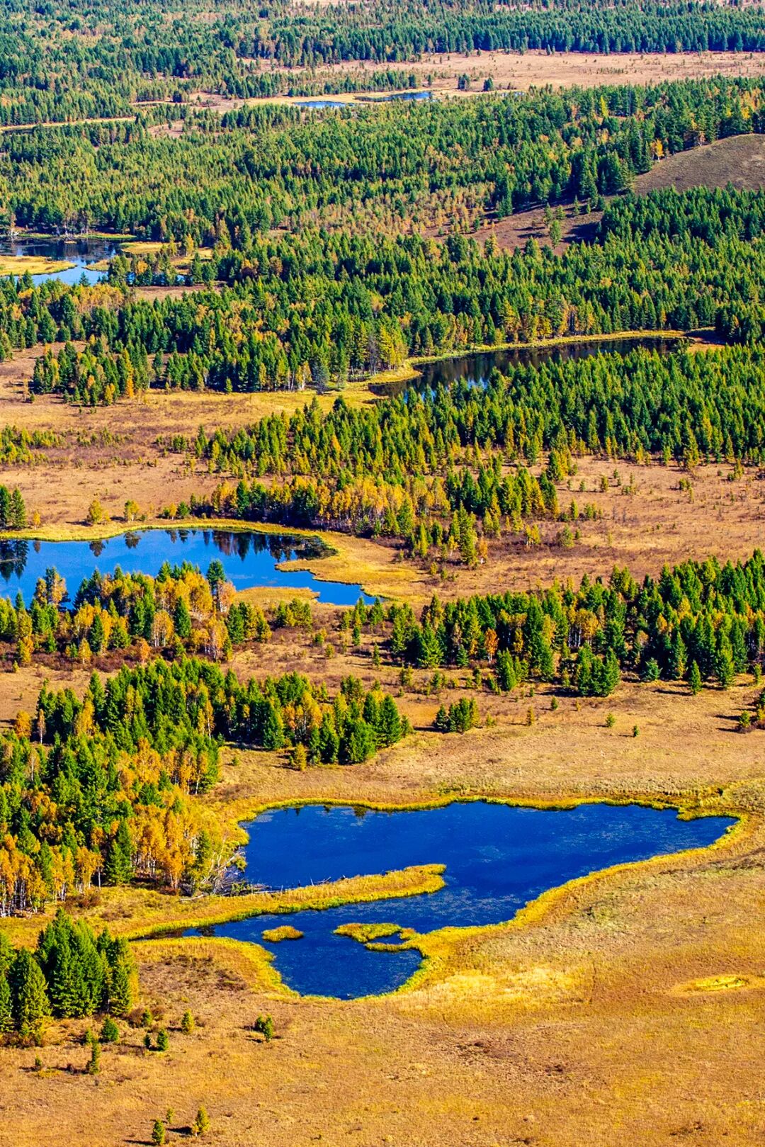 Image related to Top Autumn Getaway Routes for National Day – Still Time to Plan!